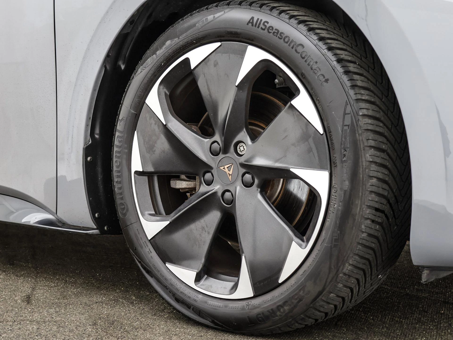 Hoofdafbeelding CUPRA Born