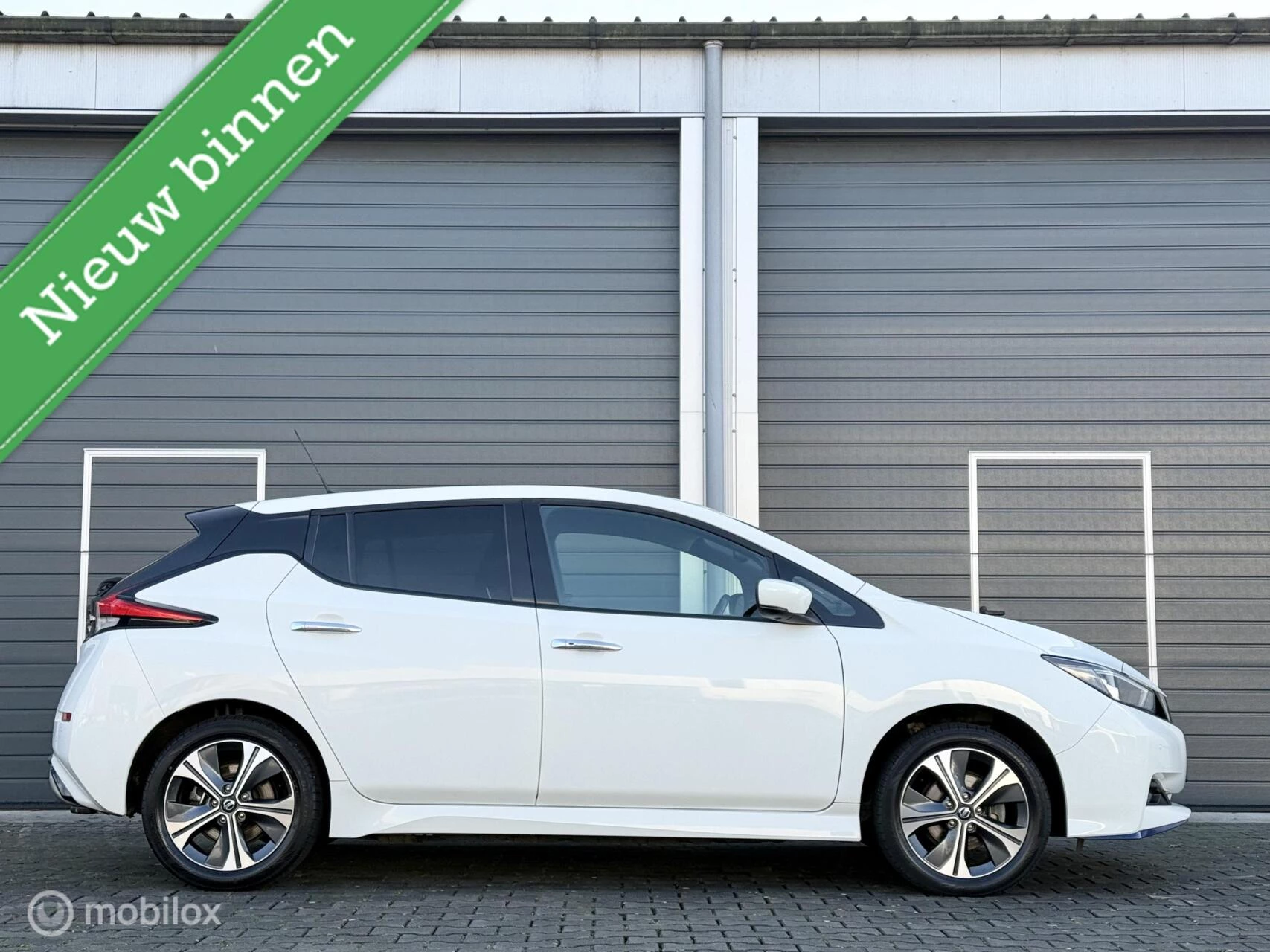 Hoofdafbeelding Nissan Leaf