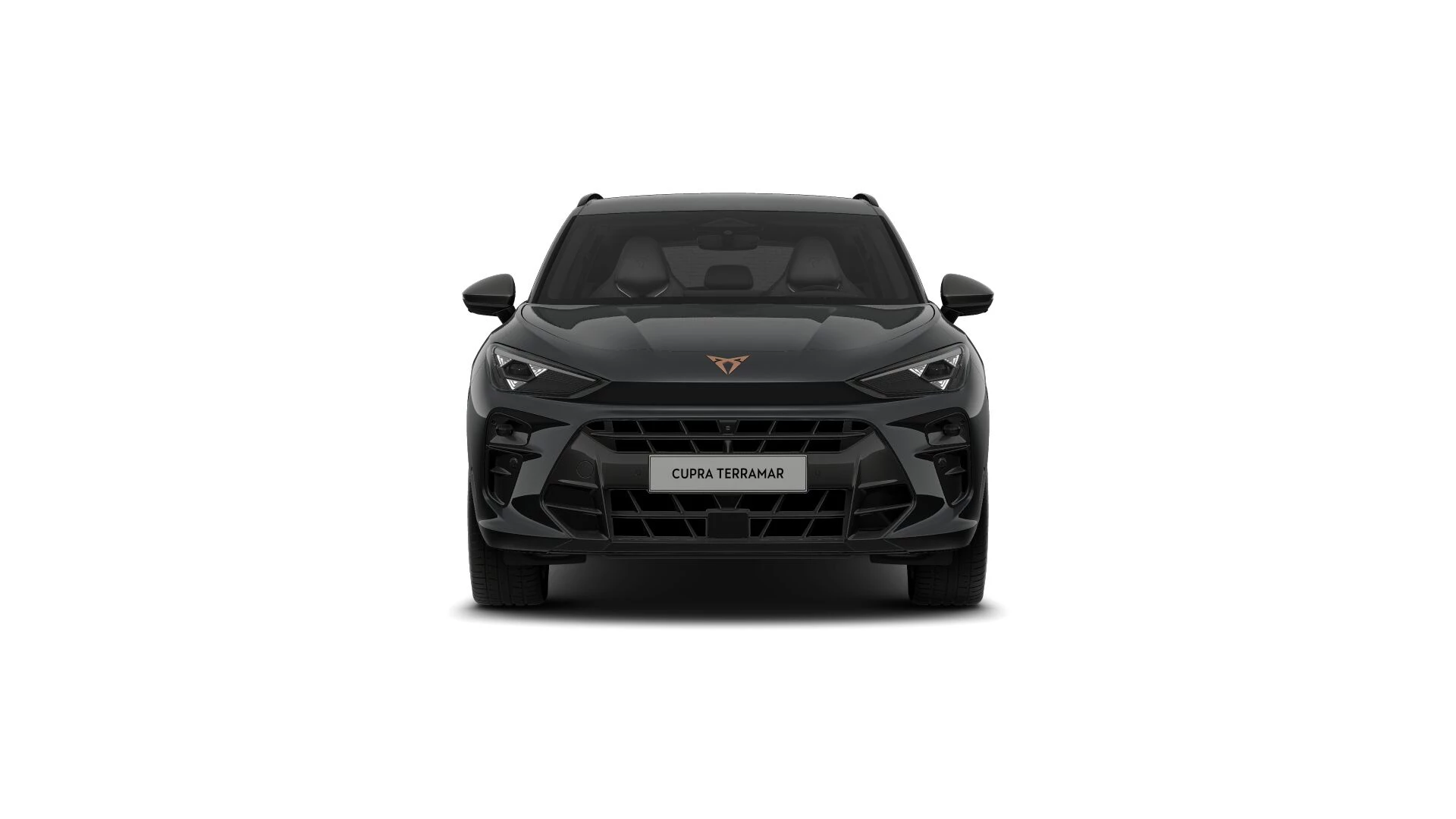 Hoofdafbeelding CUPRA Terramar