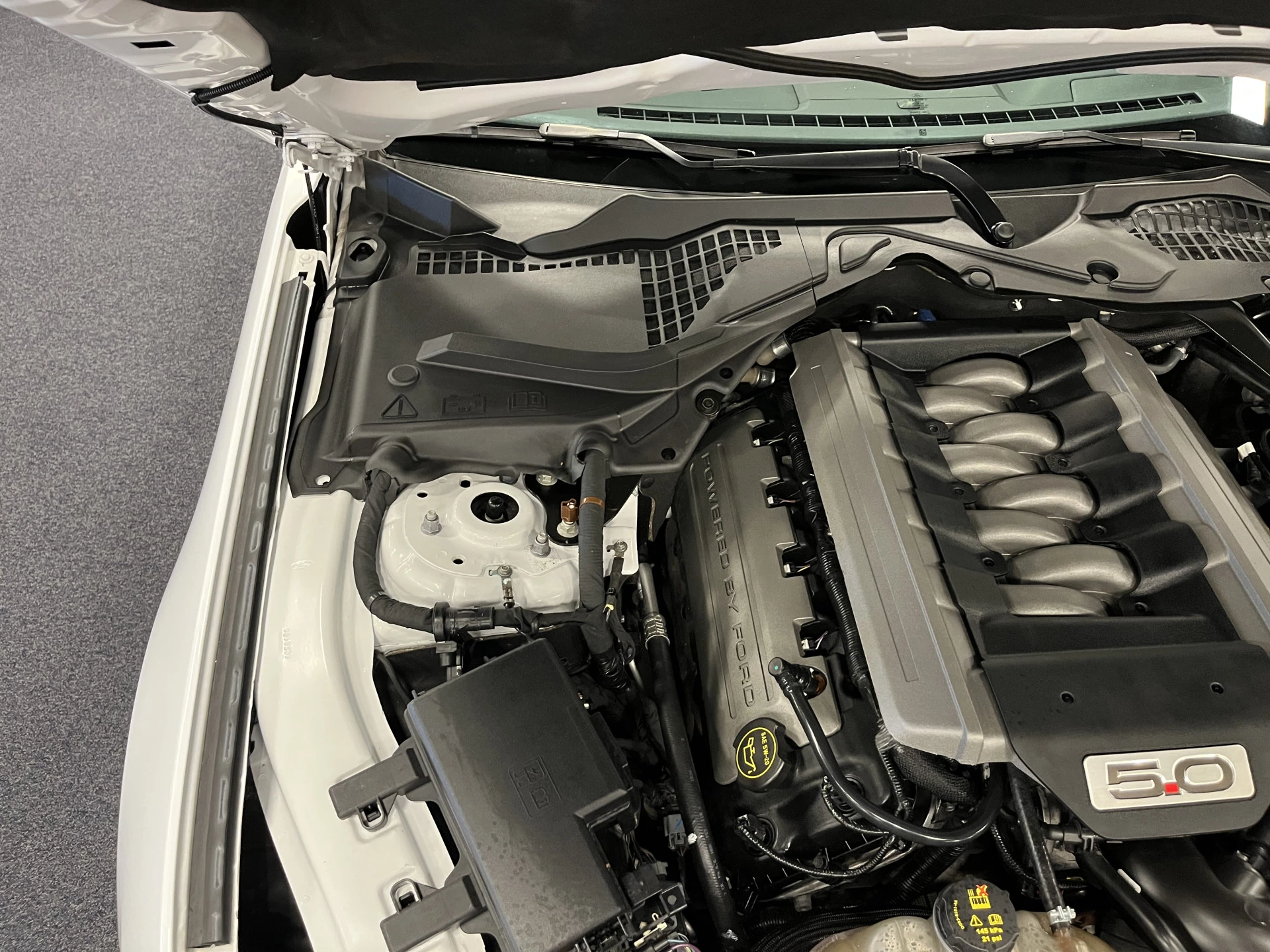Hoofdafbeelding Ford Mustang