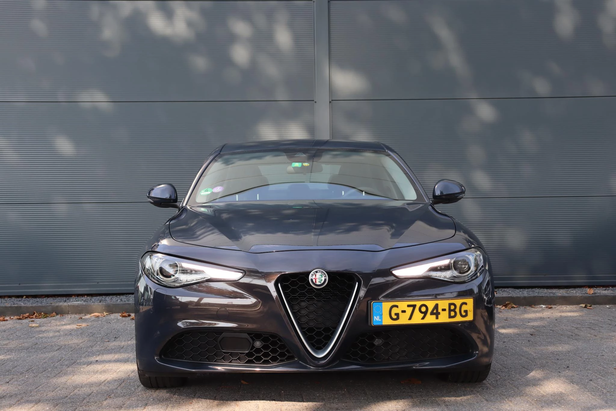 Hoofdafbeelding Alfa Romeo Giulia