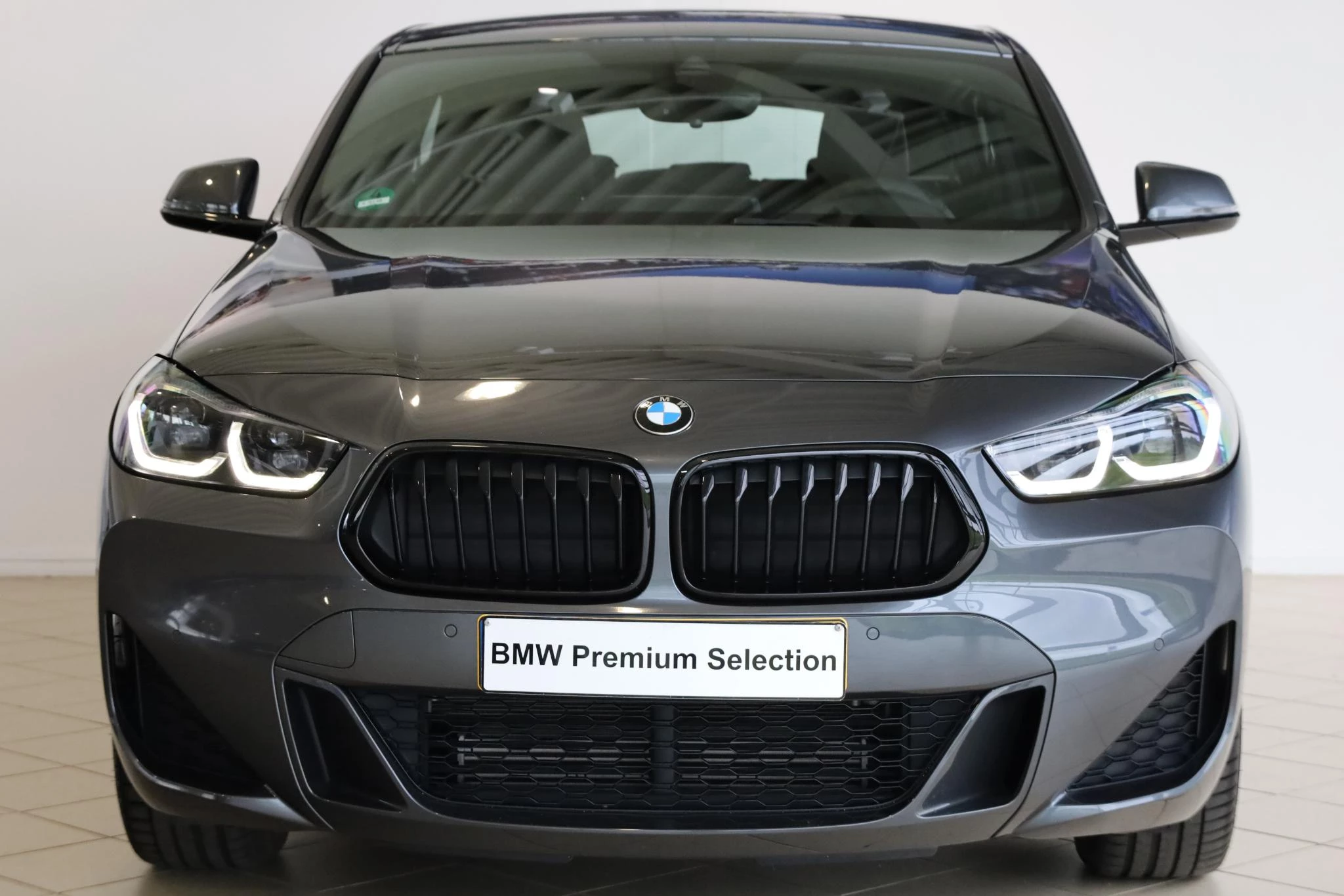 Hoofdafbeelding BMW X2
