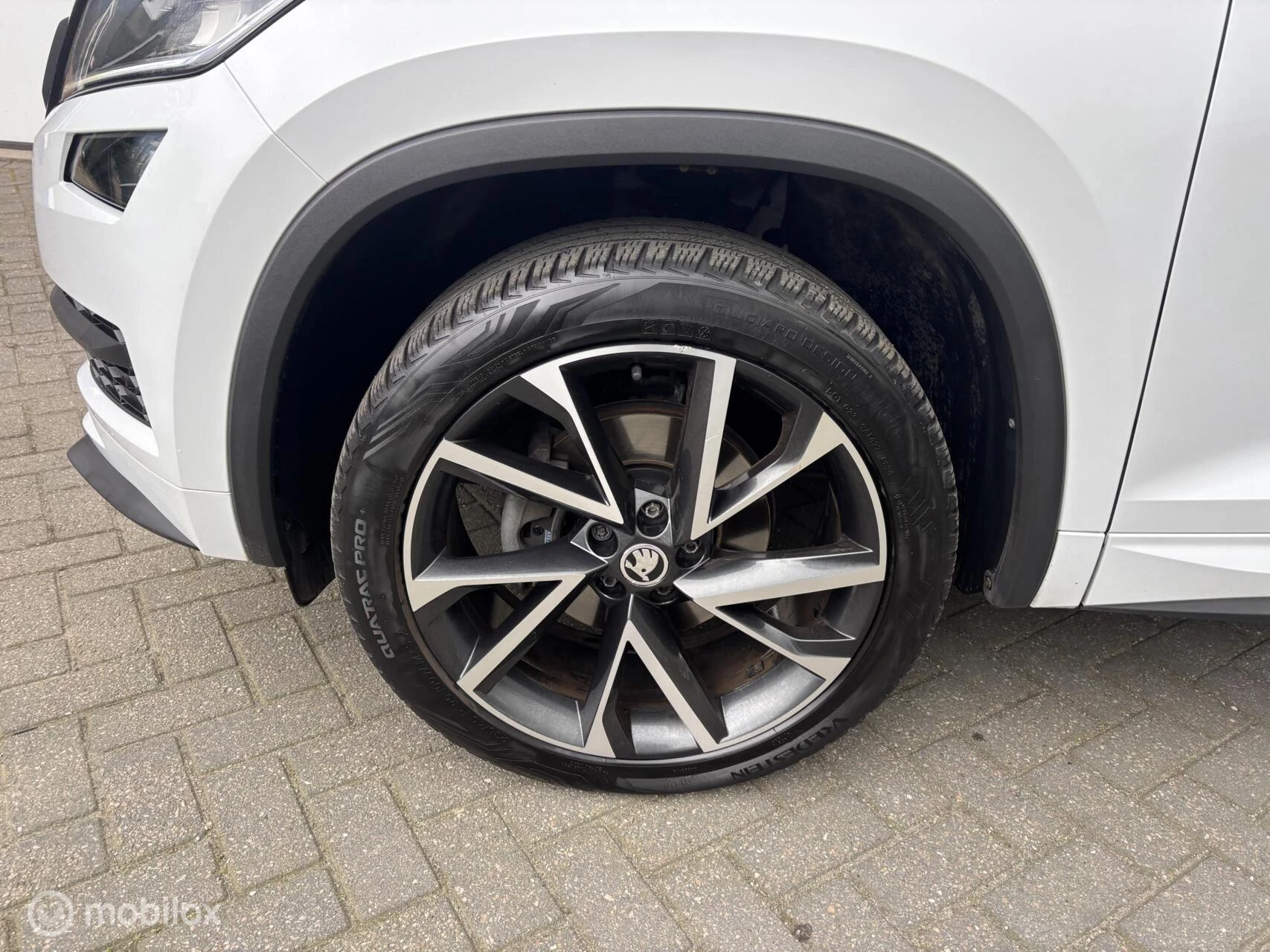 Hoofdafbeelding Škoda Kodiaq