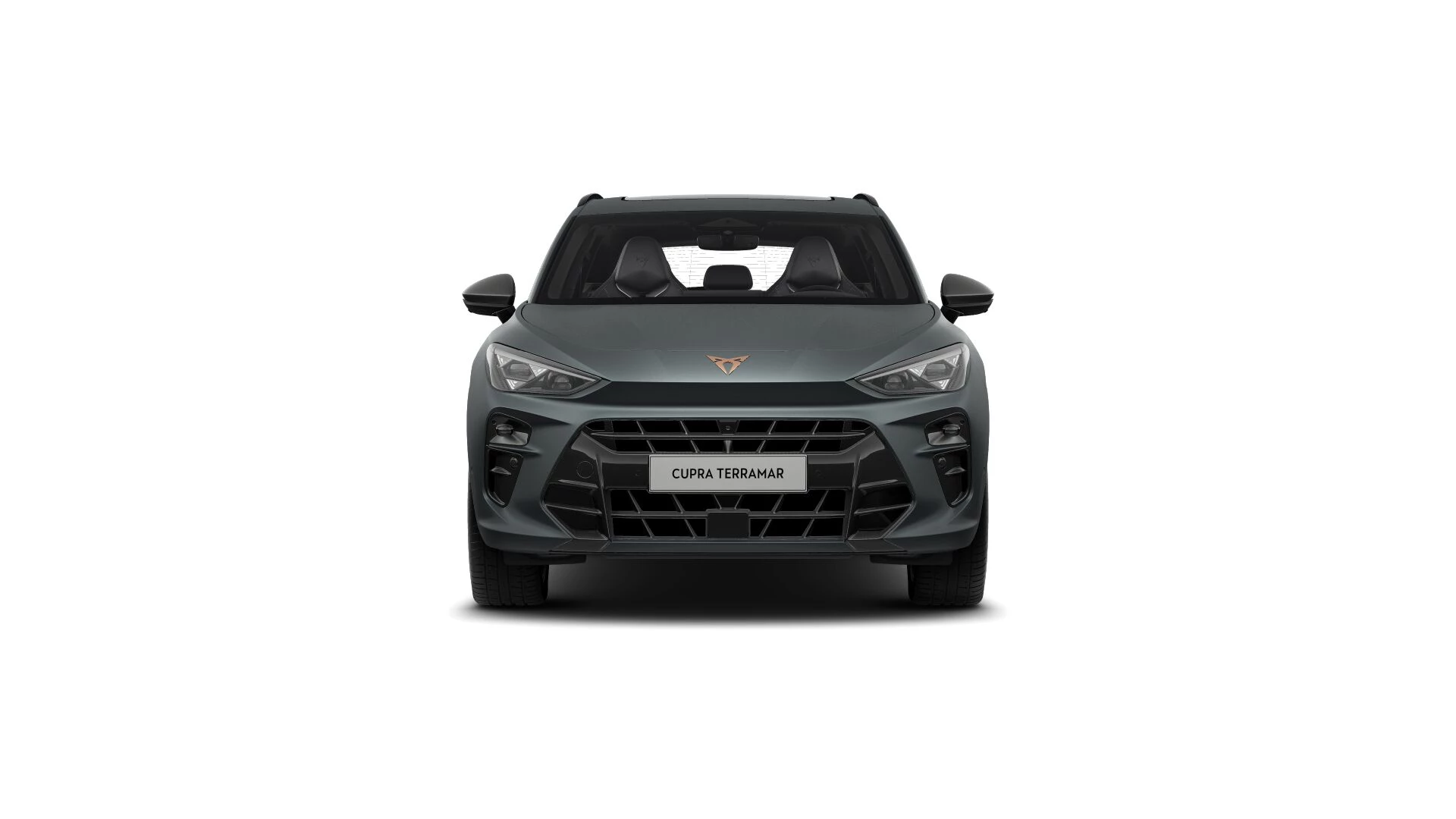 Hoofdafbeelding CUPRA Terramar