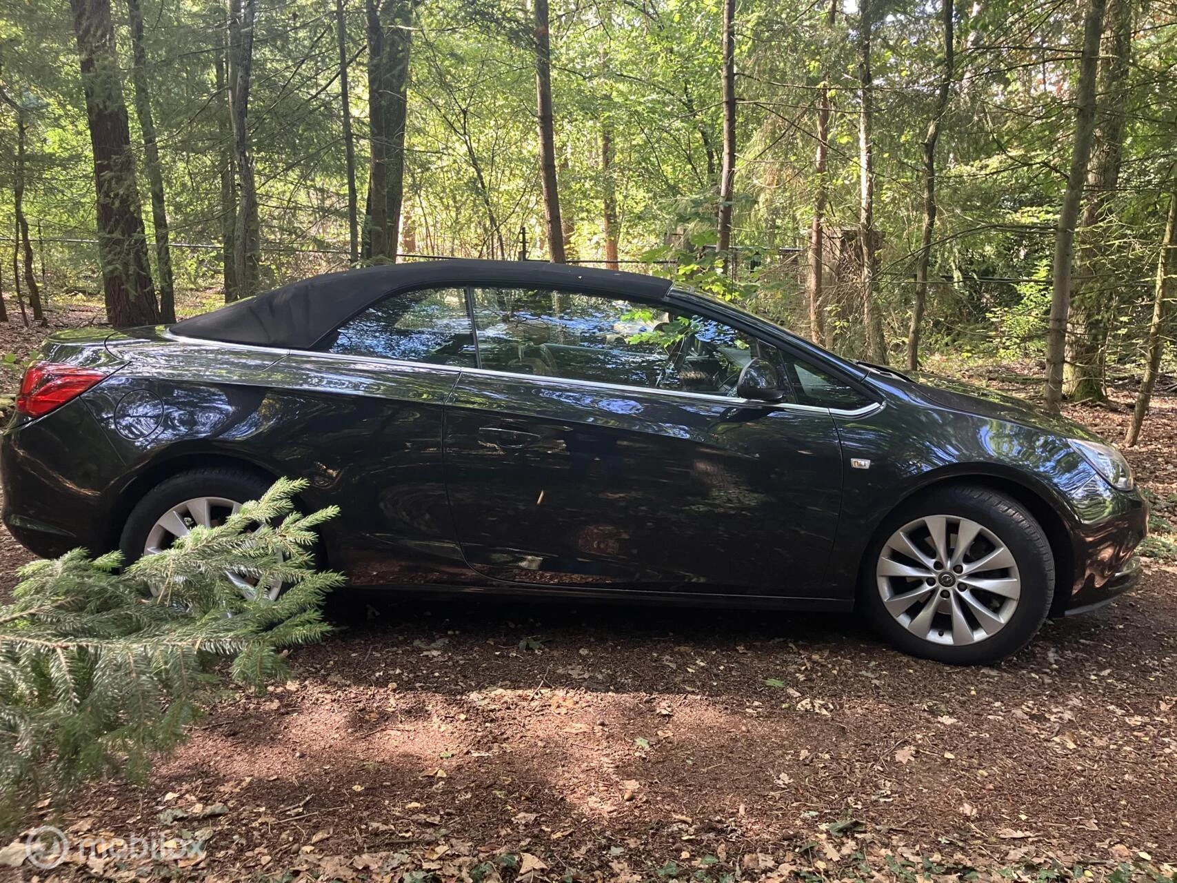 Hoofdafbeelding Opel Cascada