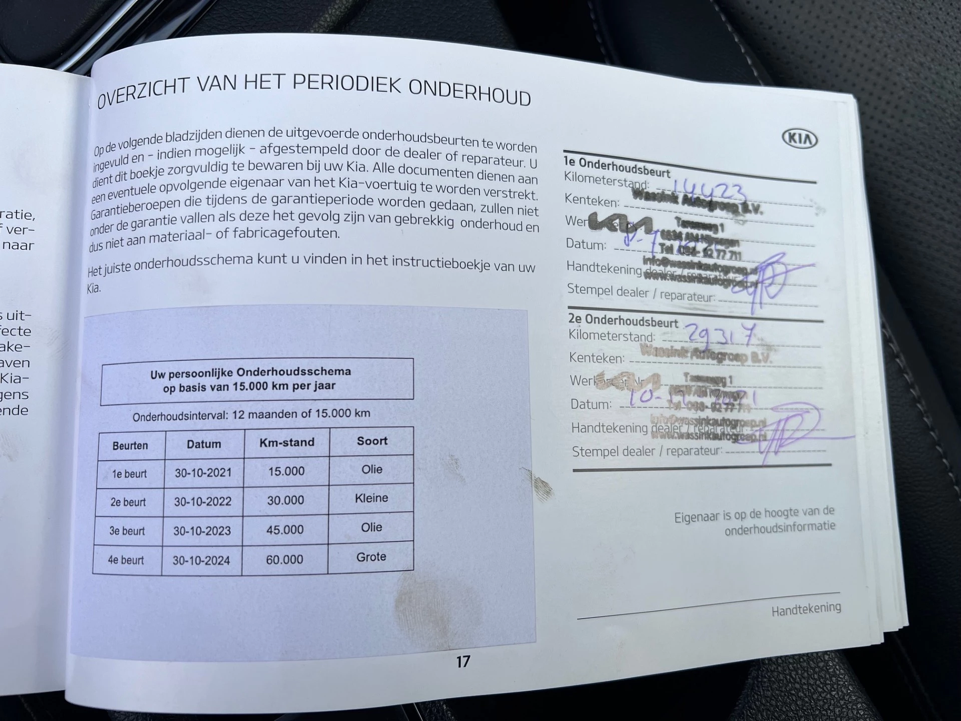 Hoofdafbeelding Kia Niro