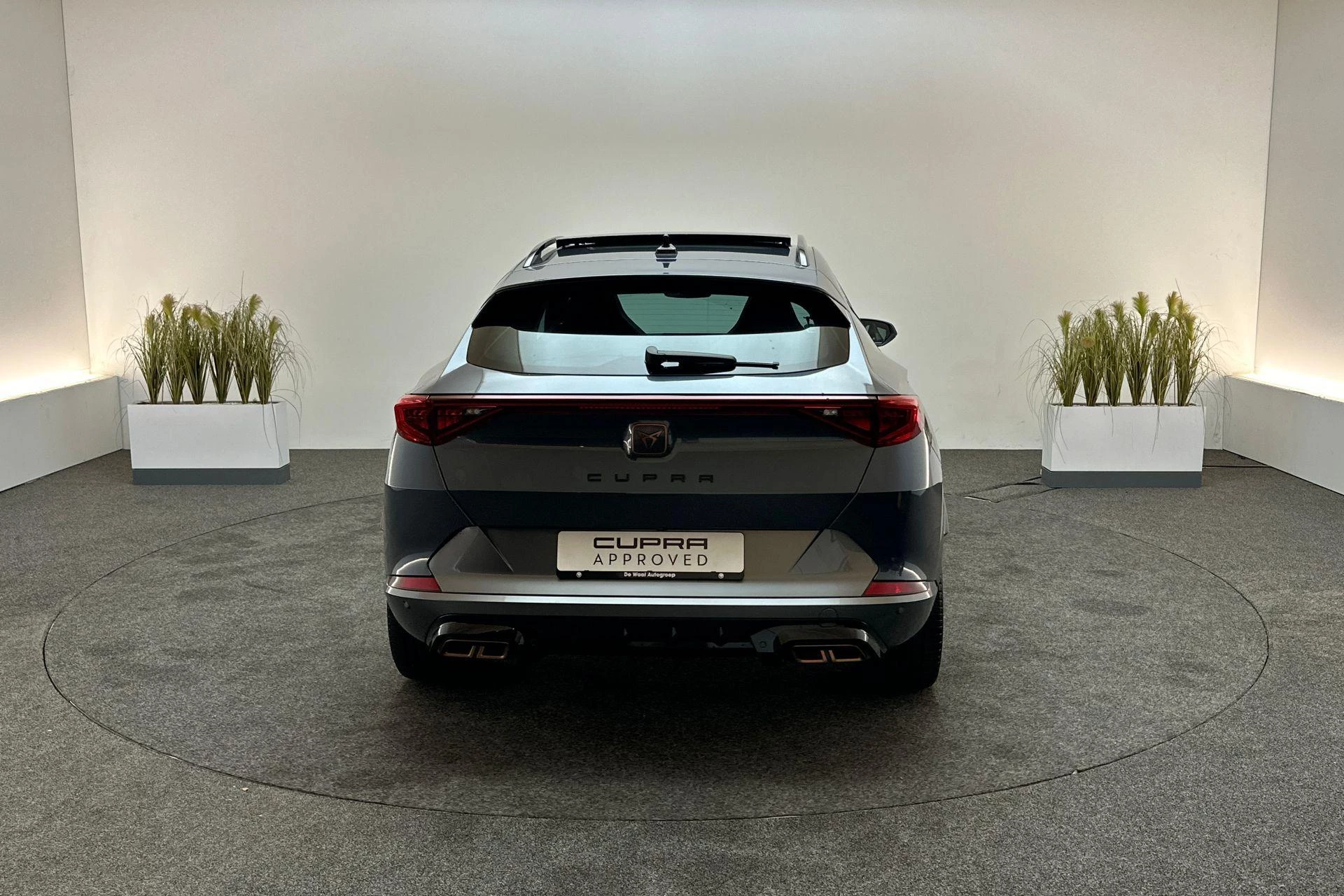 Hoofdafbeelding CUPRA Formentor