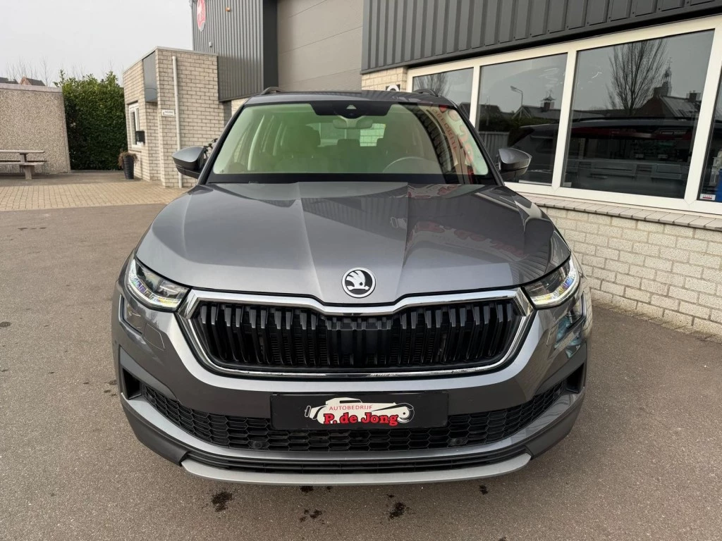 Hoofdafbeelding Škoda Kodiaq