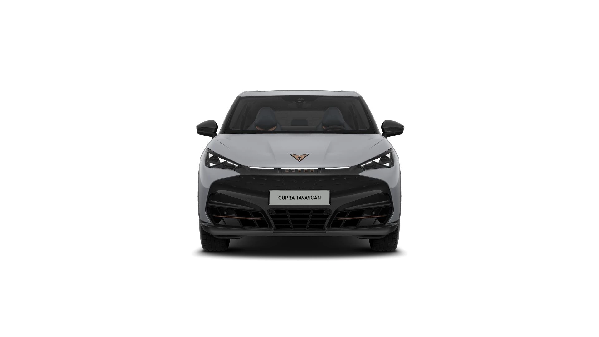 Hoofdafbeelding CUPRA Tavascan