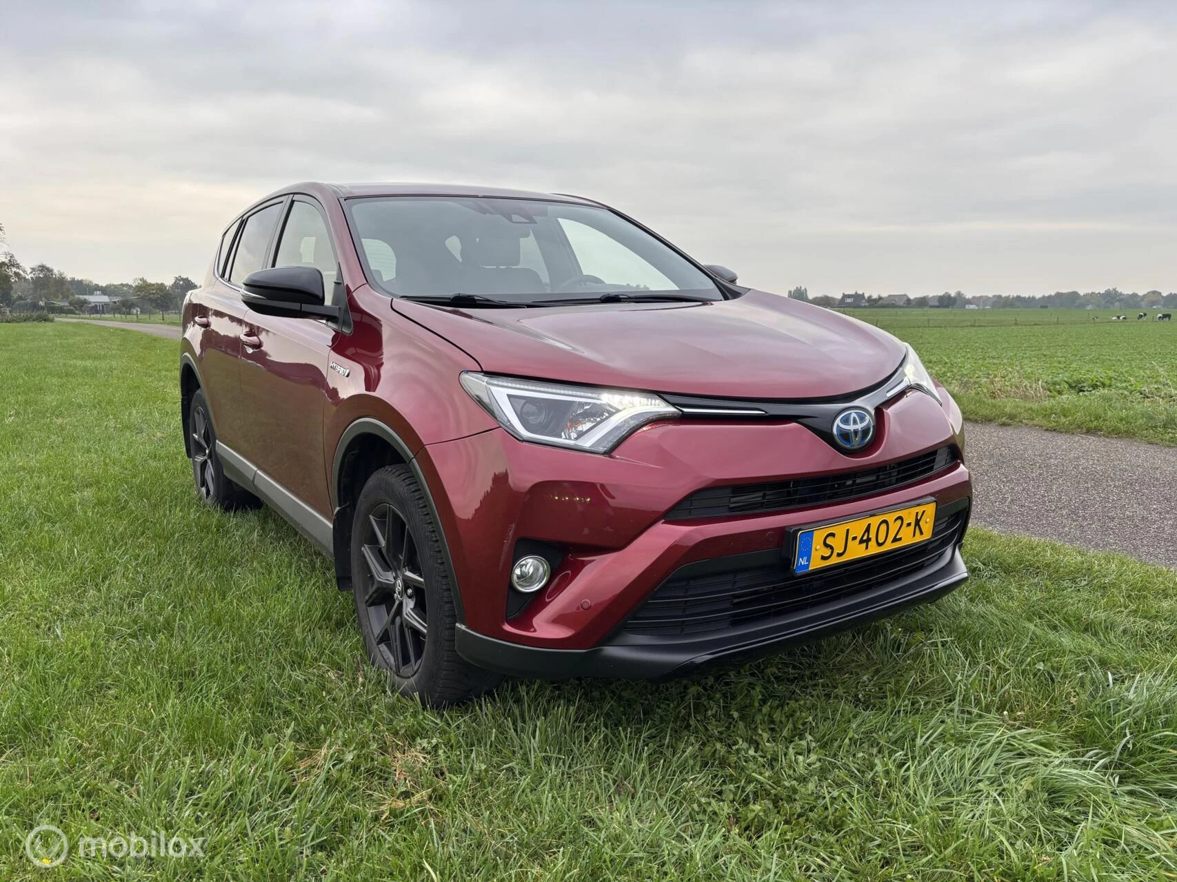 Hoofdafbeelding Toyota RAV4
