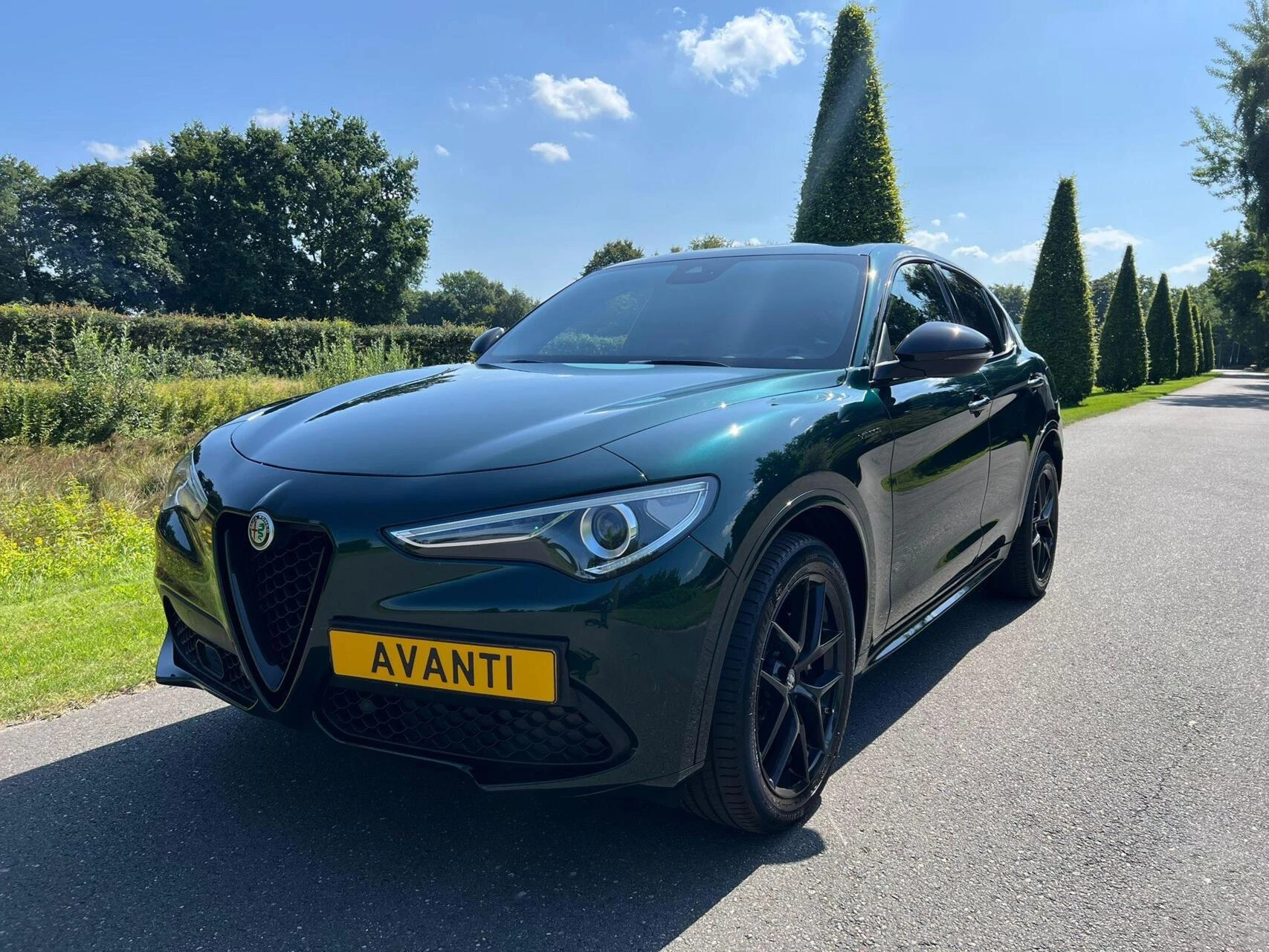 Hoofdafbeelding Alfa Romeo Stelvio