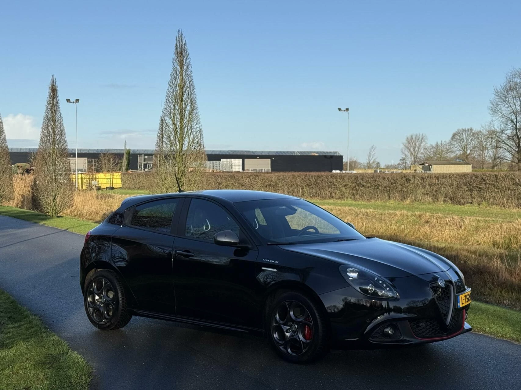 Hoofdafbeelding Alfa Romeo Giulietta