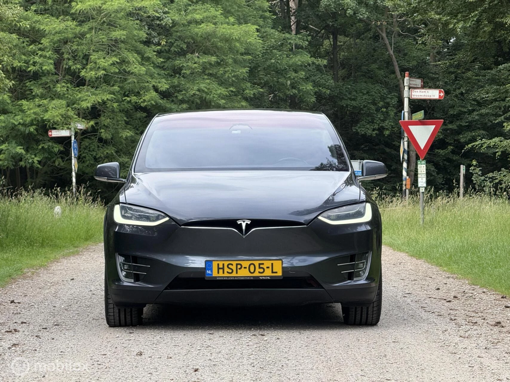 Hoofdafbeelding Tesla Model X