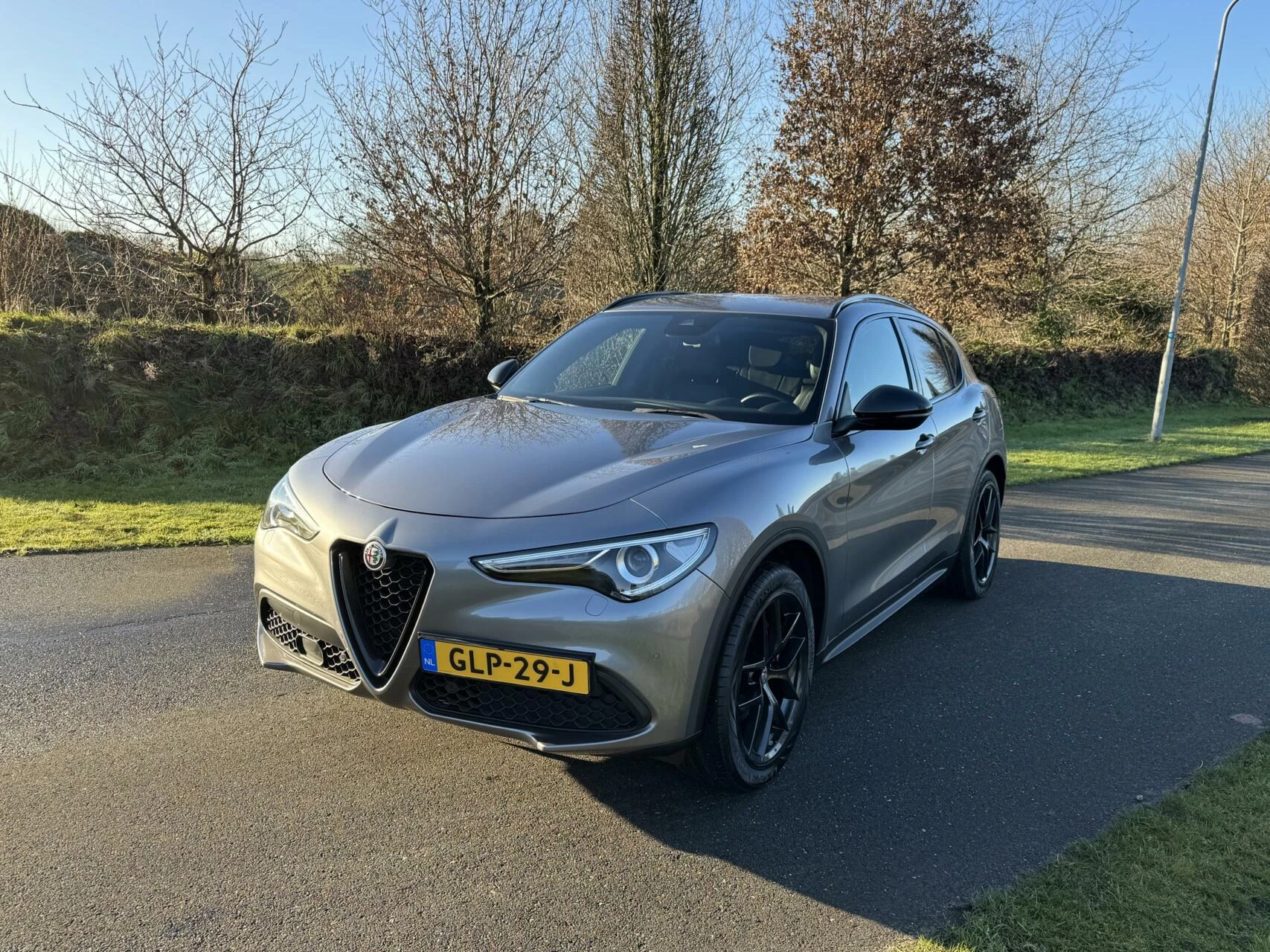 Hoofdafbeelding Alfa Romeo Stelvio