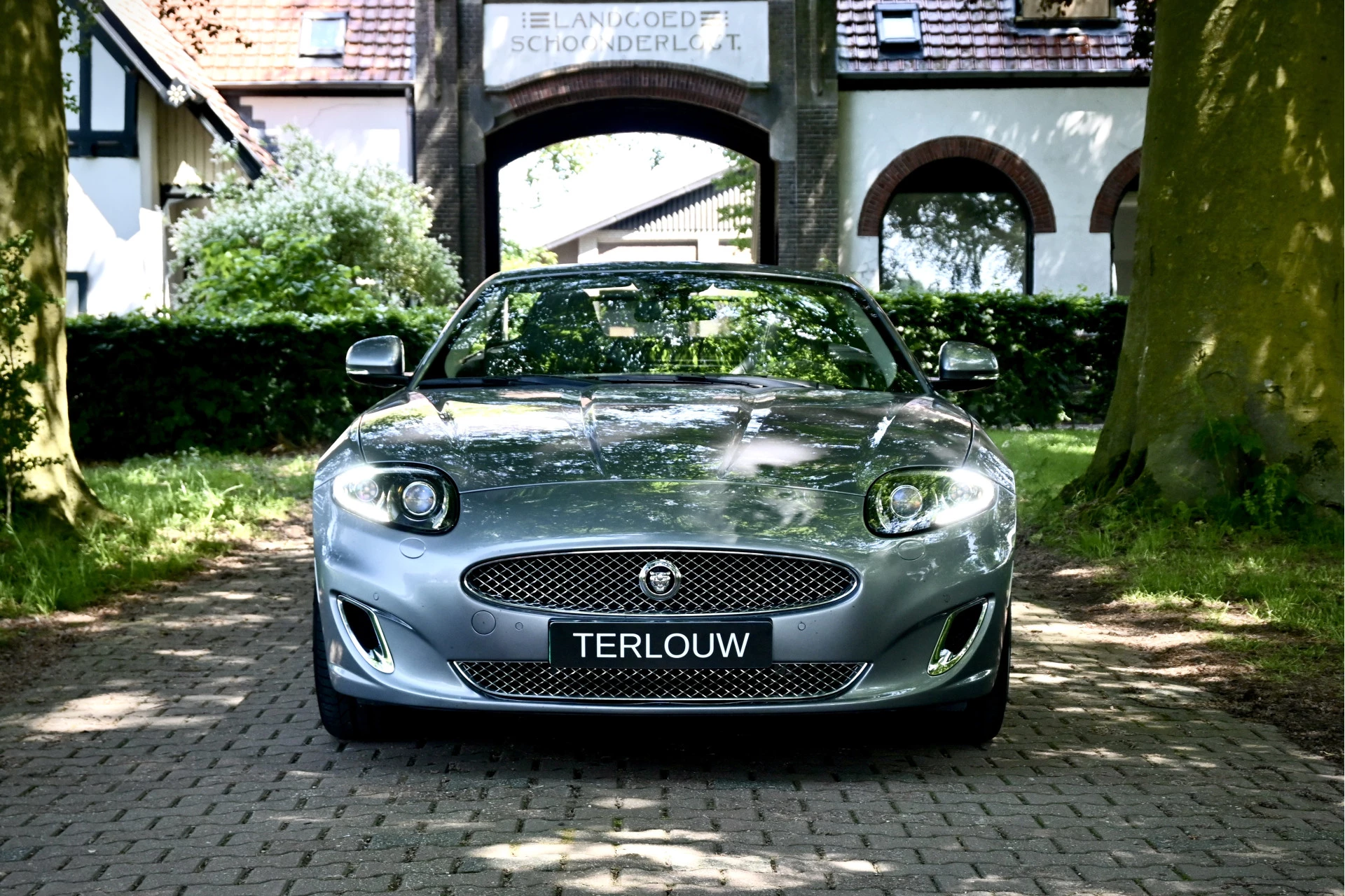 Hoofdafbeelding Jaguar XK