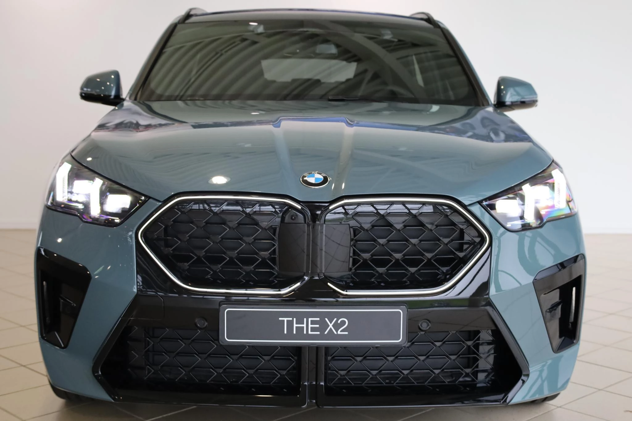 Hoofdafbeelding BMW X2