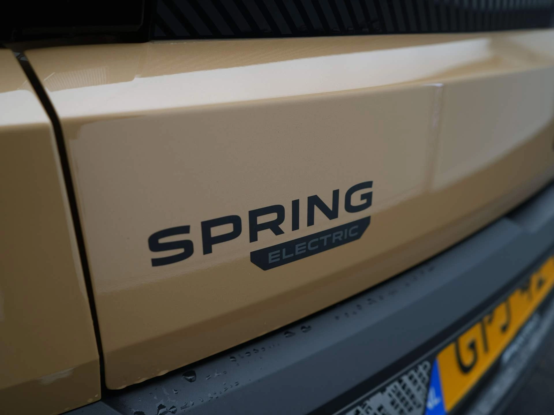 Hoofdafbeelding Dacia Spring