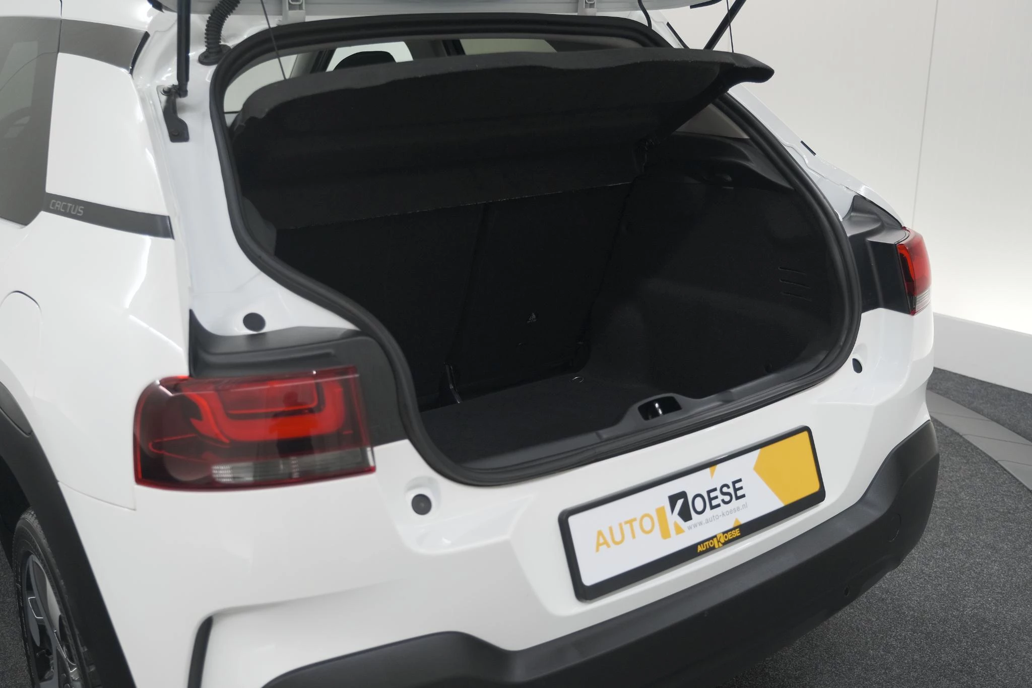 Hoofdafbeelding Citroën C4 Cactus