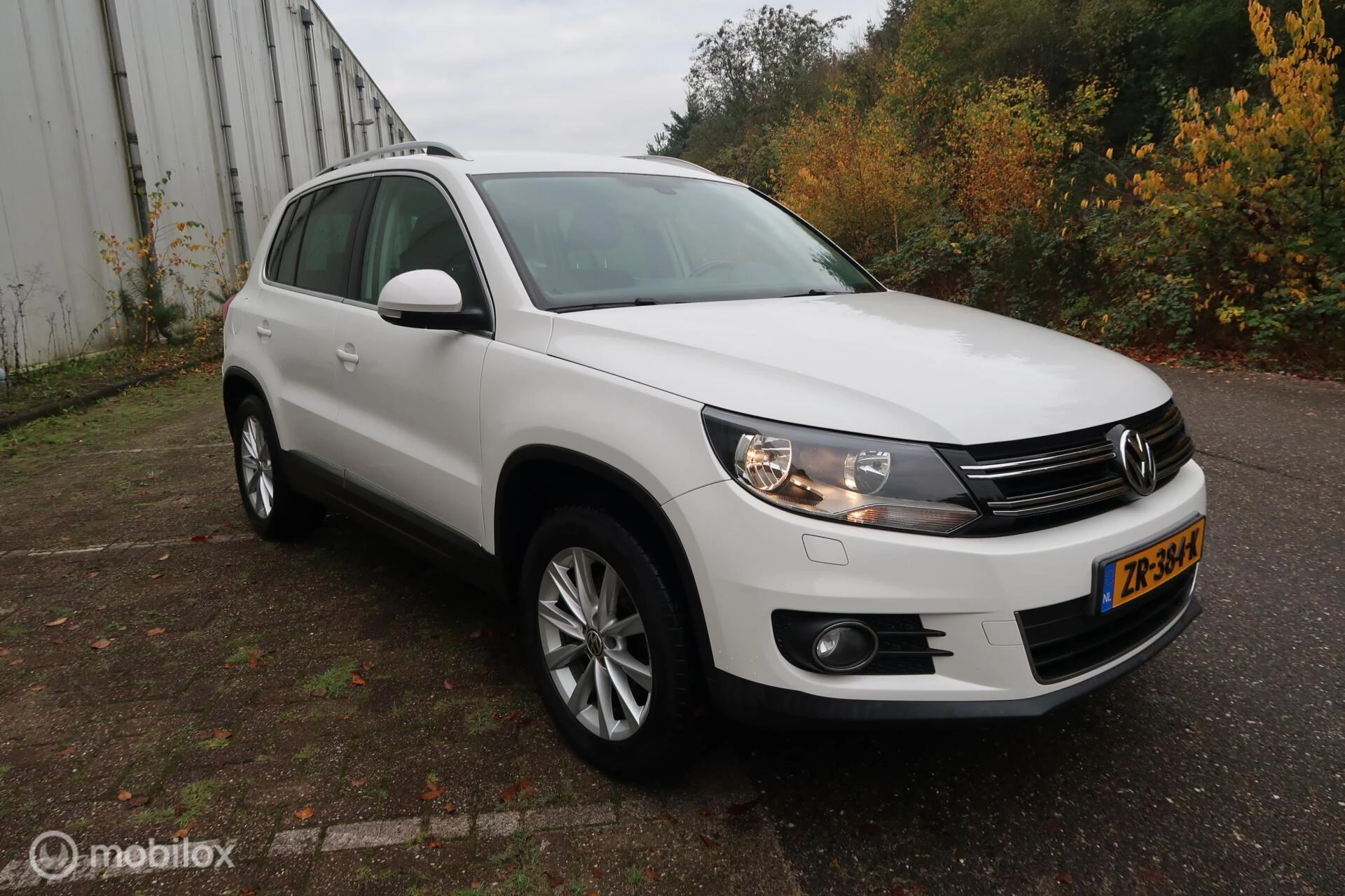 Hoofdafbeelding Volkswagen Tiguan