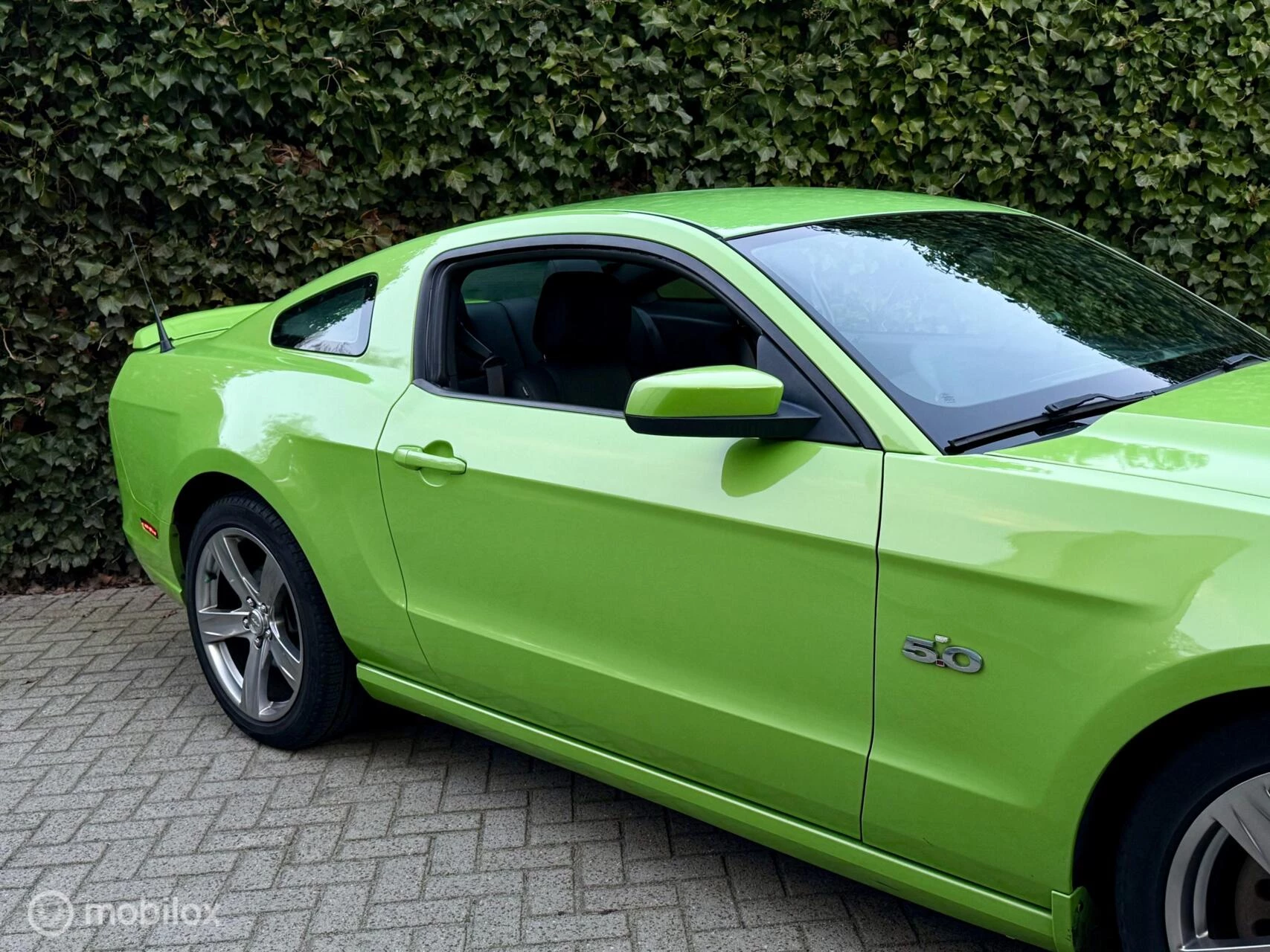 Hoofdafbeelding Ford Mustang