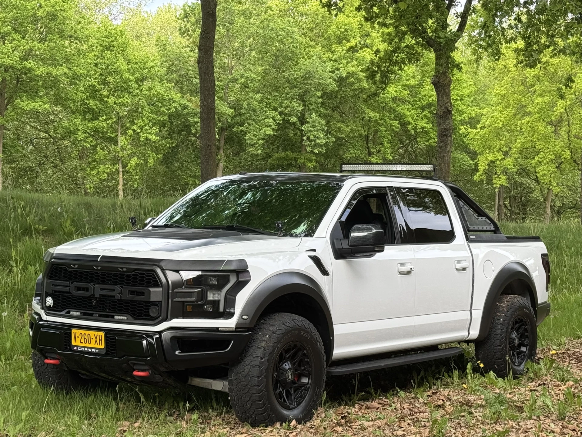 Hoofdafbeelding Ford F-150