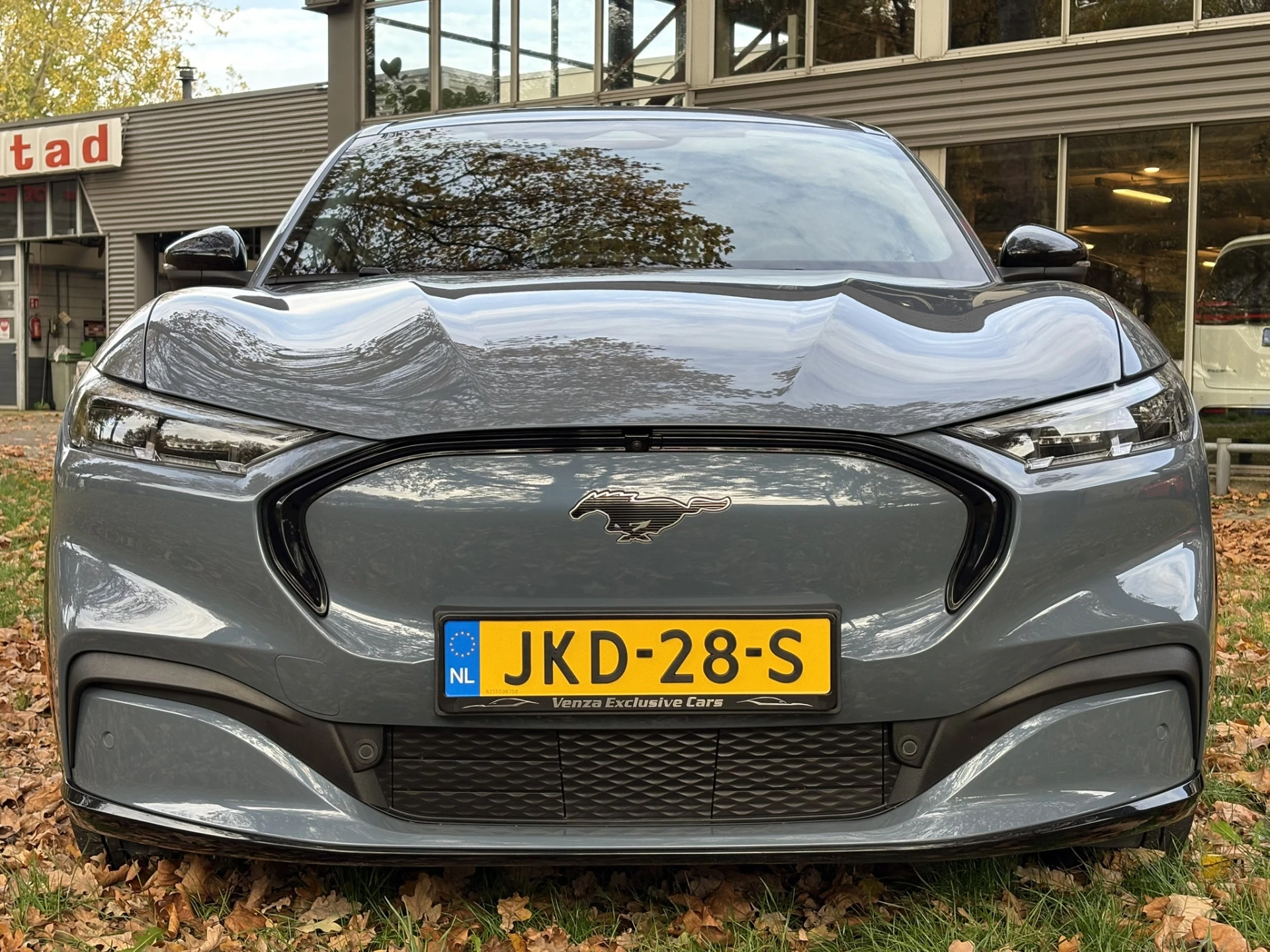 Hoofdafbeelding Ford Mustang Mach-E