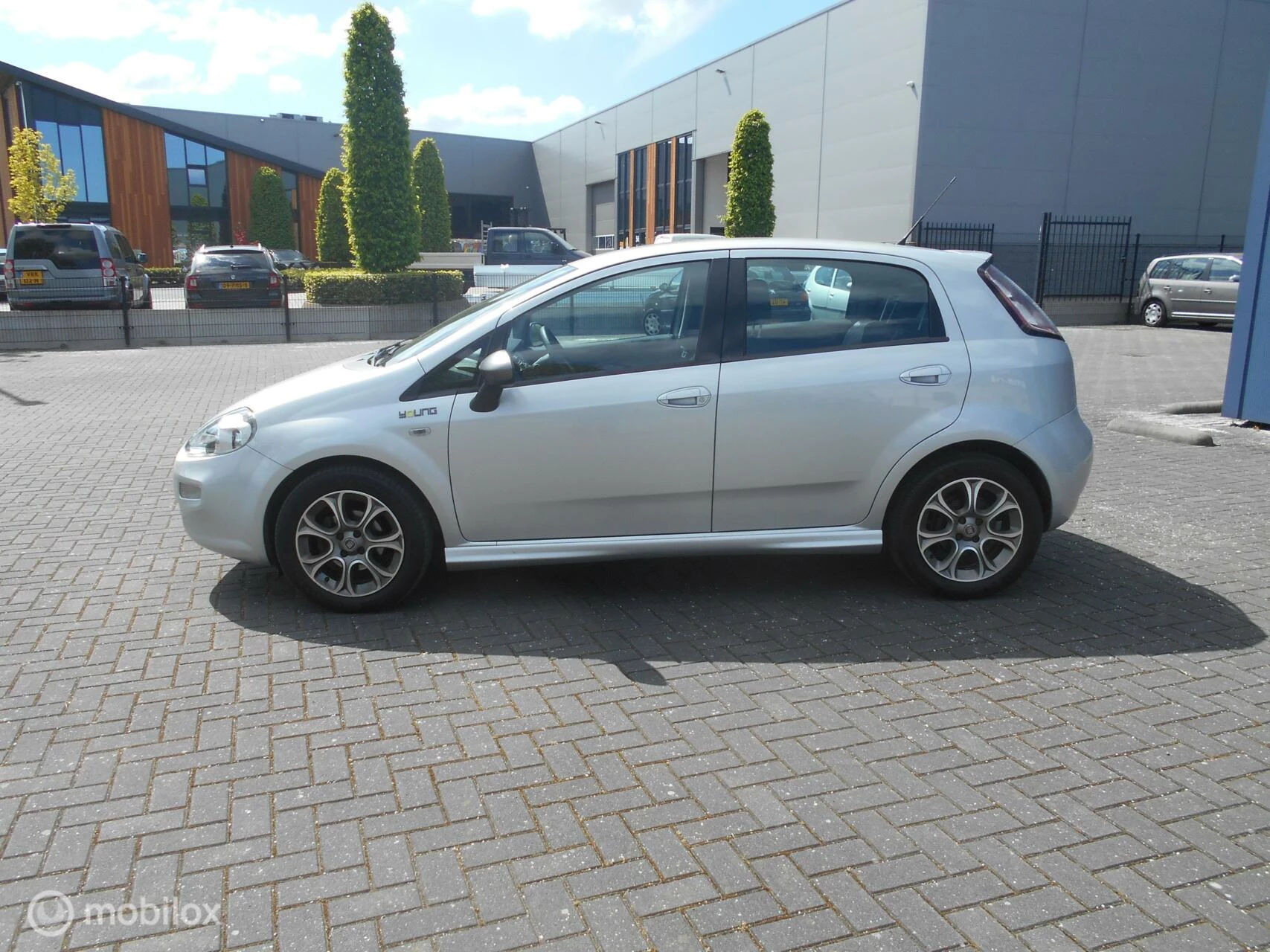 Hoofdafbeelding Fiat Punto