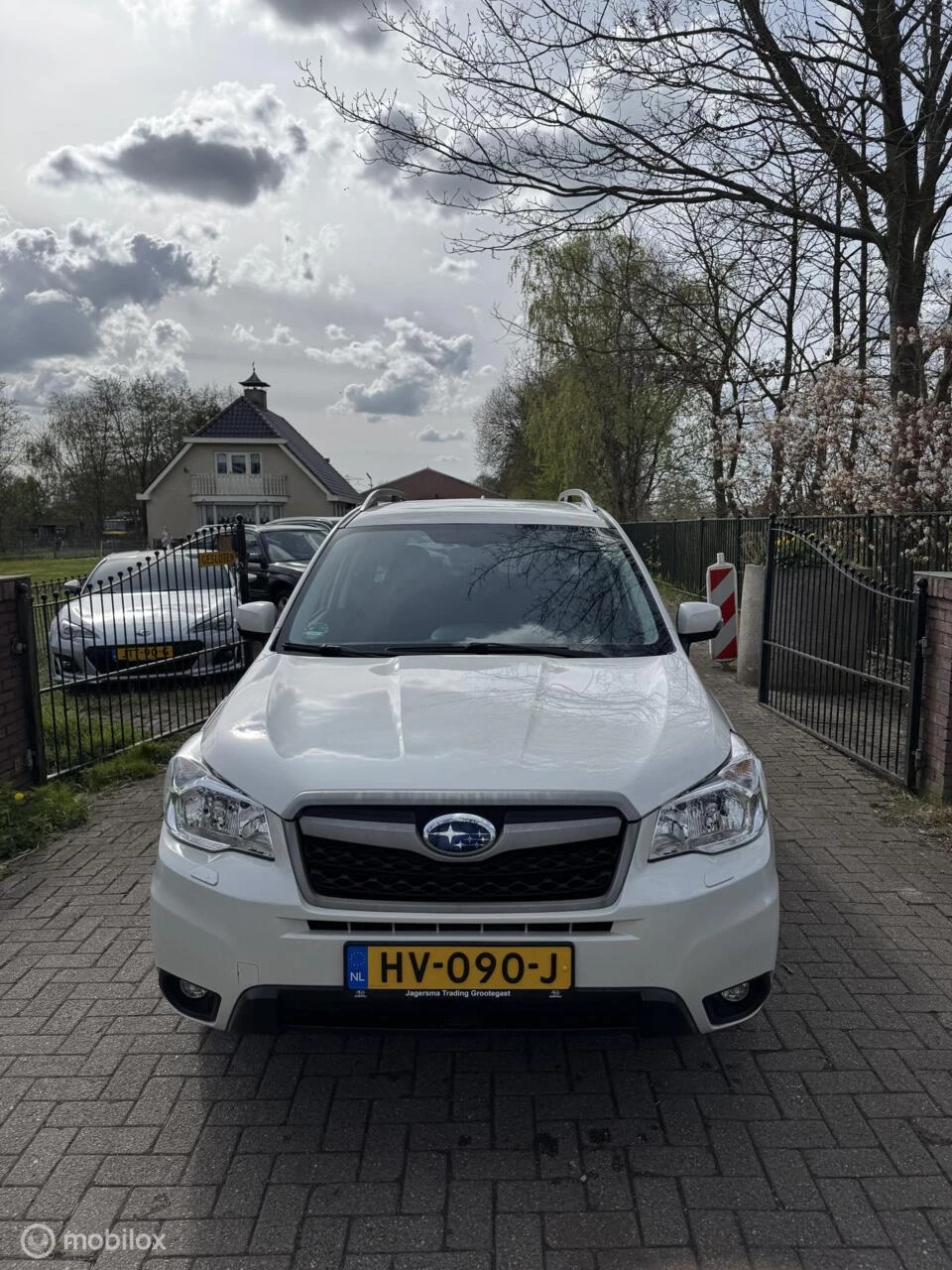 Hoofdafbeelding Subaru Forester