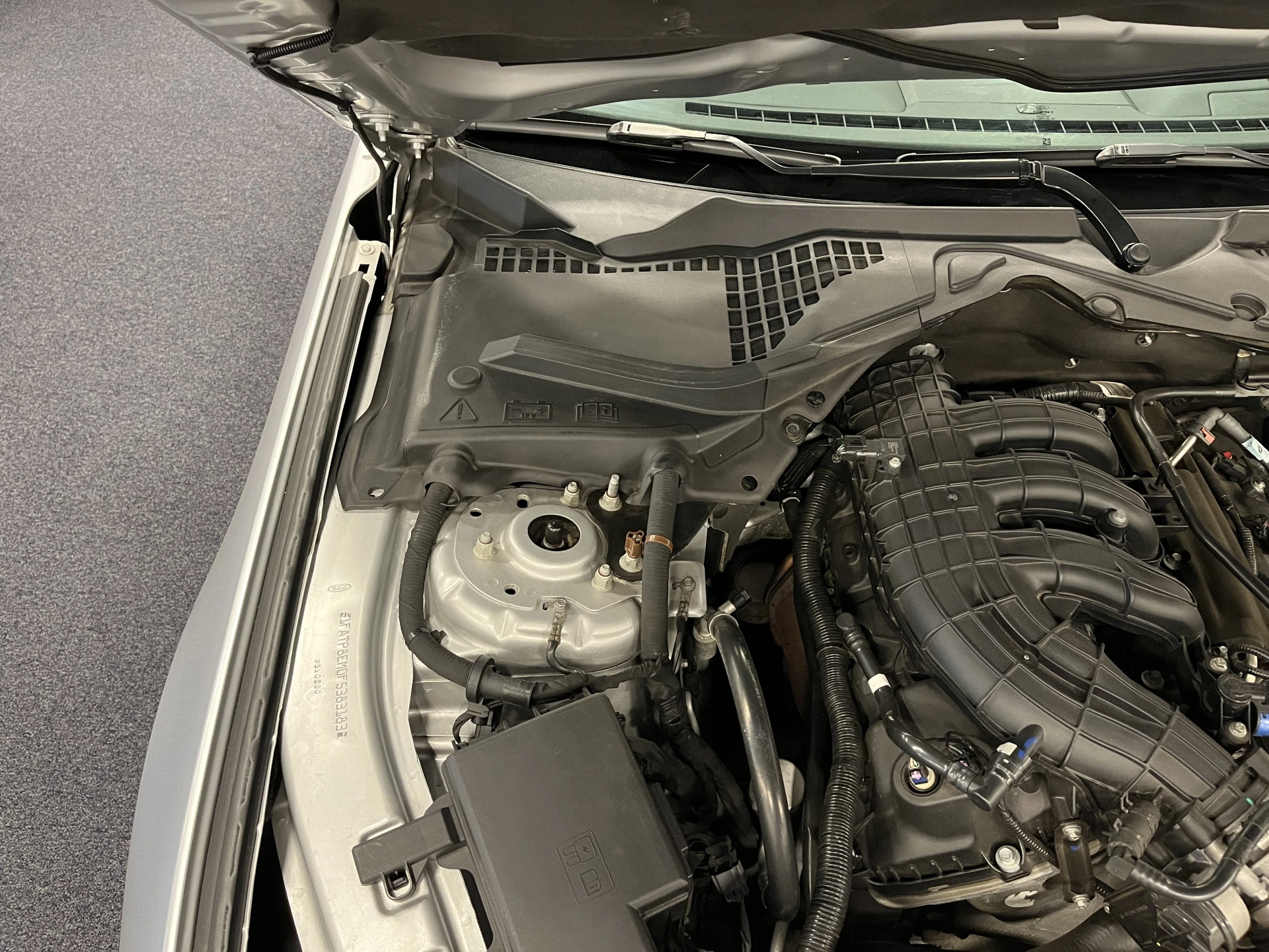 Hoofdafbeelding Ford Mustang