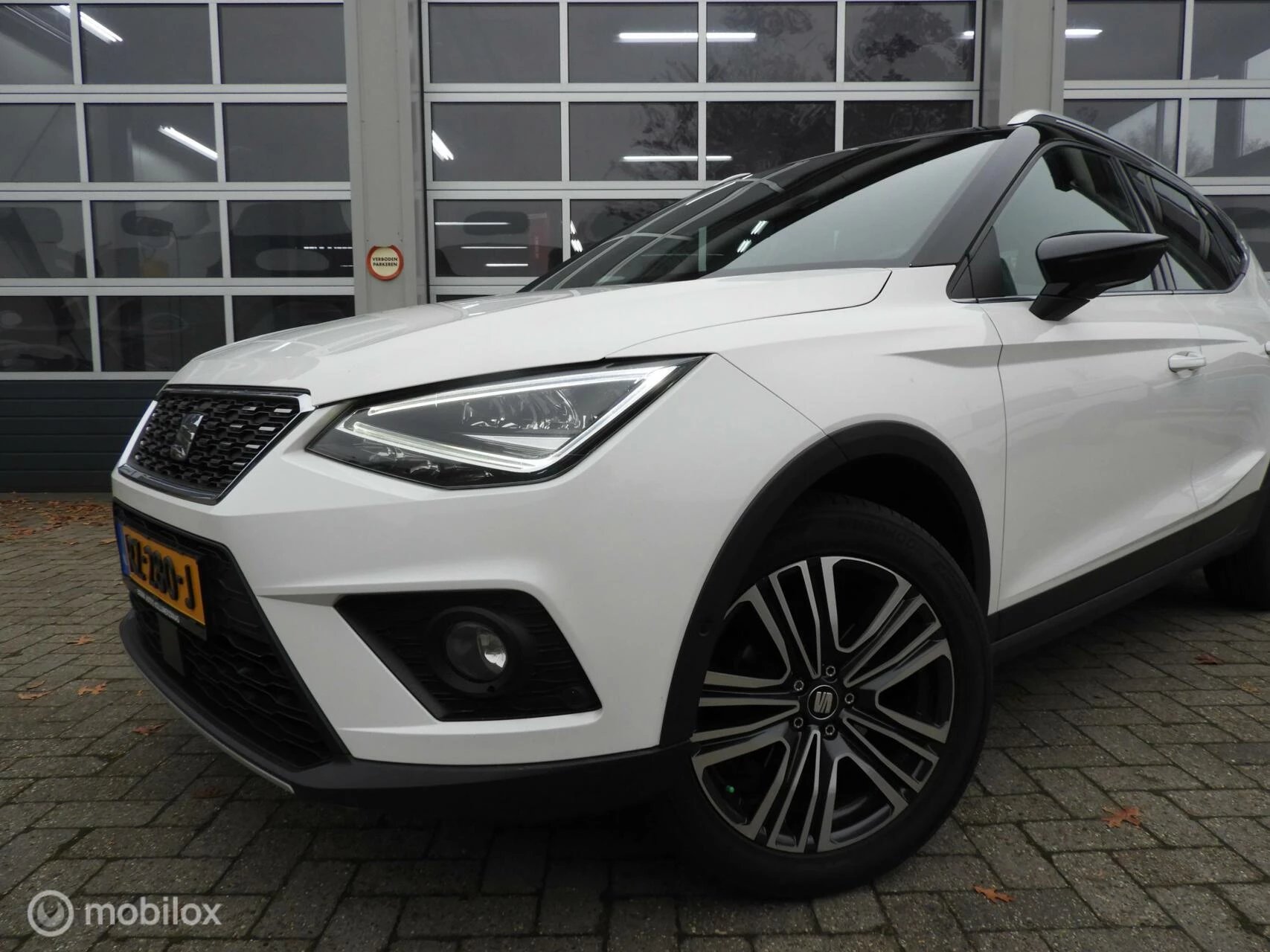 Hoofdafbeelding SEAT Arona