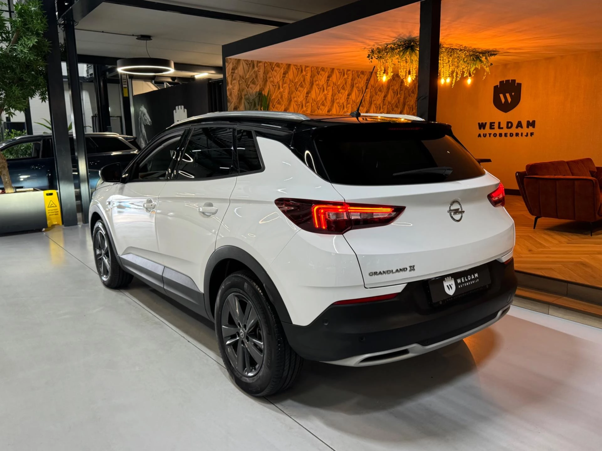 Hoofdafbeelding Opel Grandland X