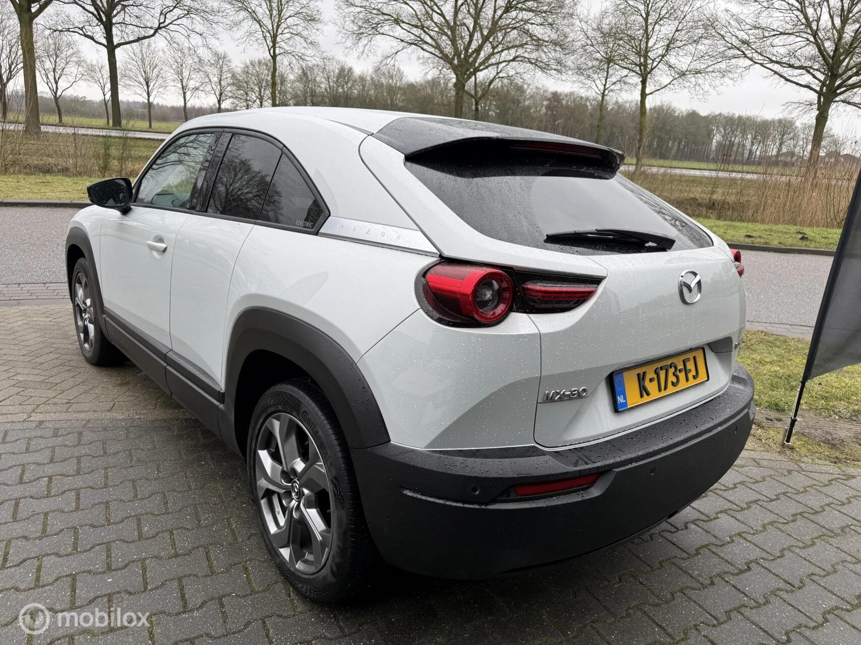 Hoofdafbeelding Mazda MX-30