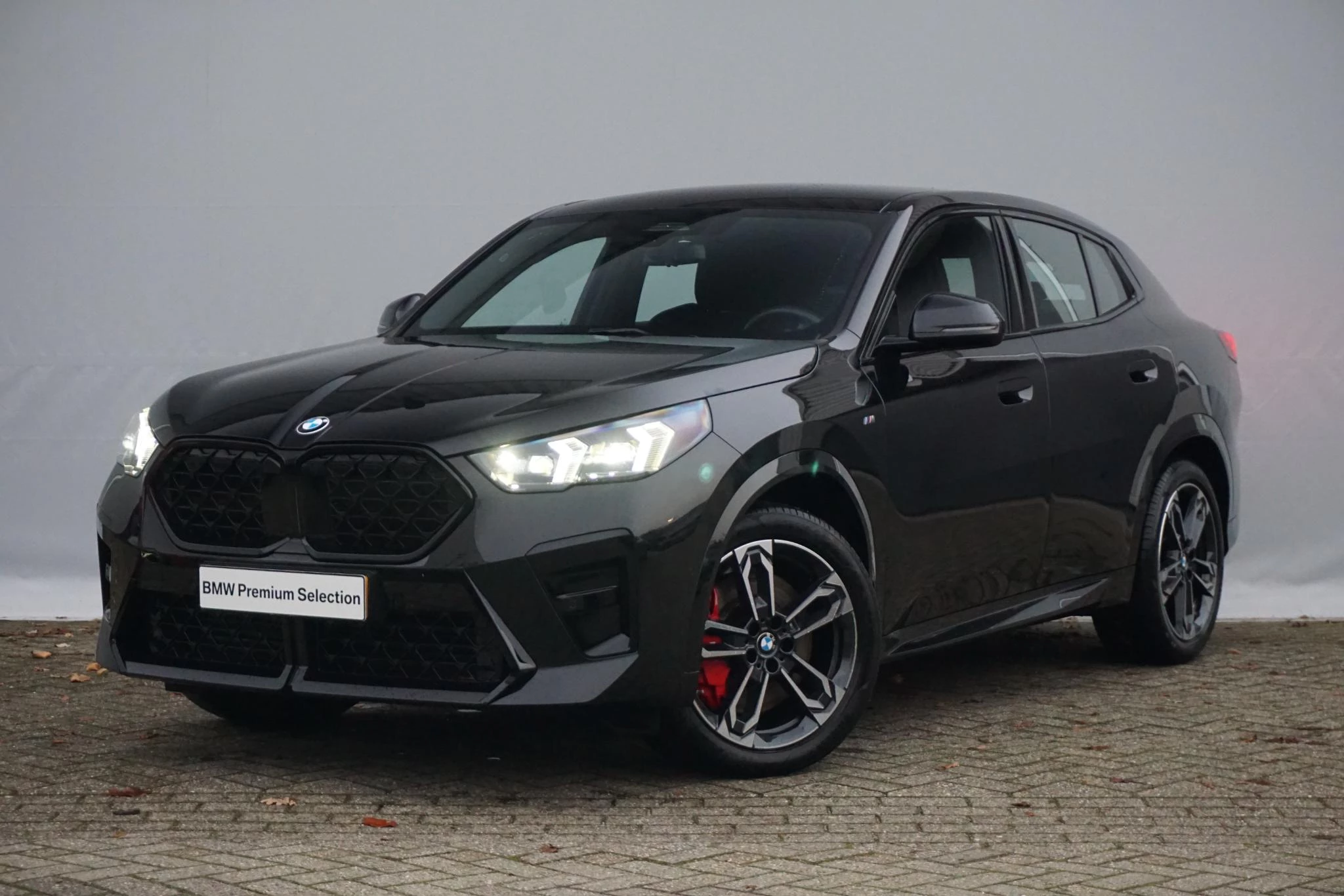 Hoofdafbeelding BMW X2