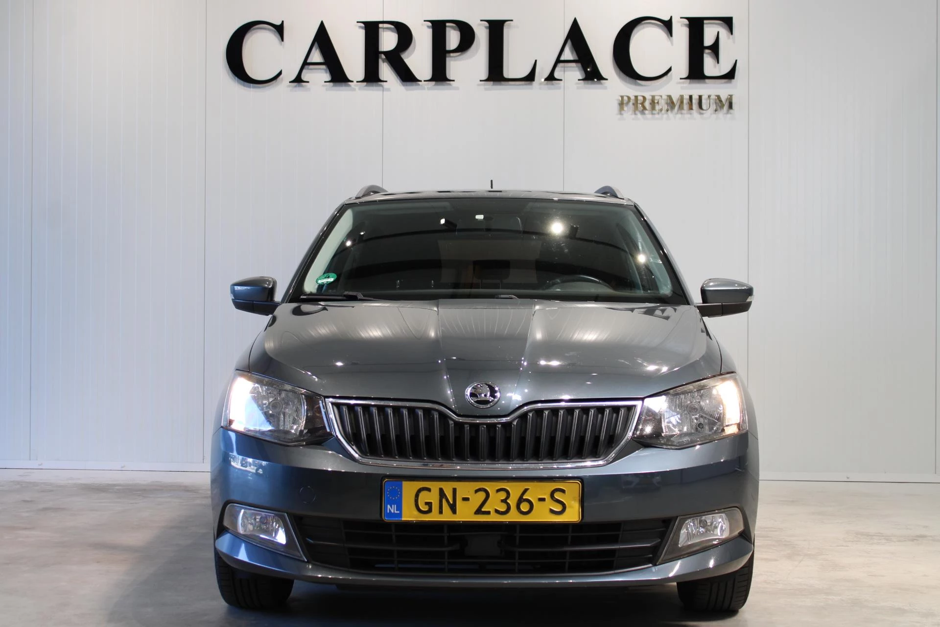 Hoofdafbeelding Škoda Fabia
