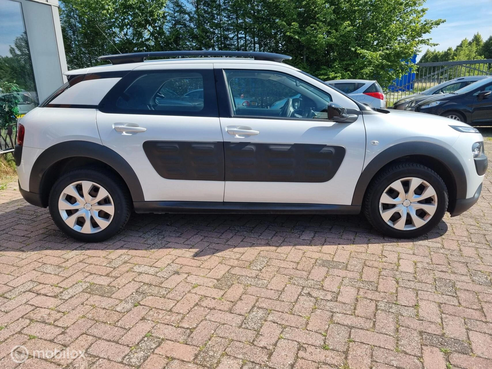 Hoofdafbeelding Citroën C4 Cactus