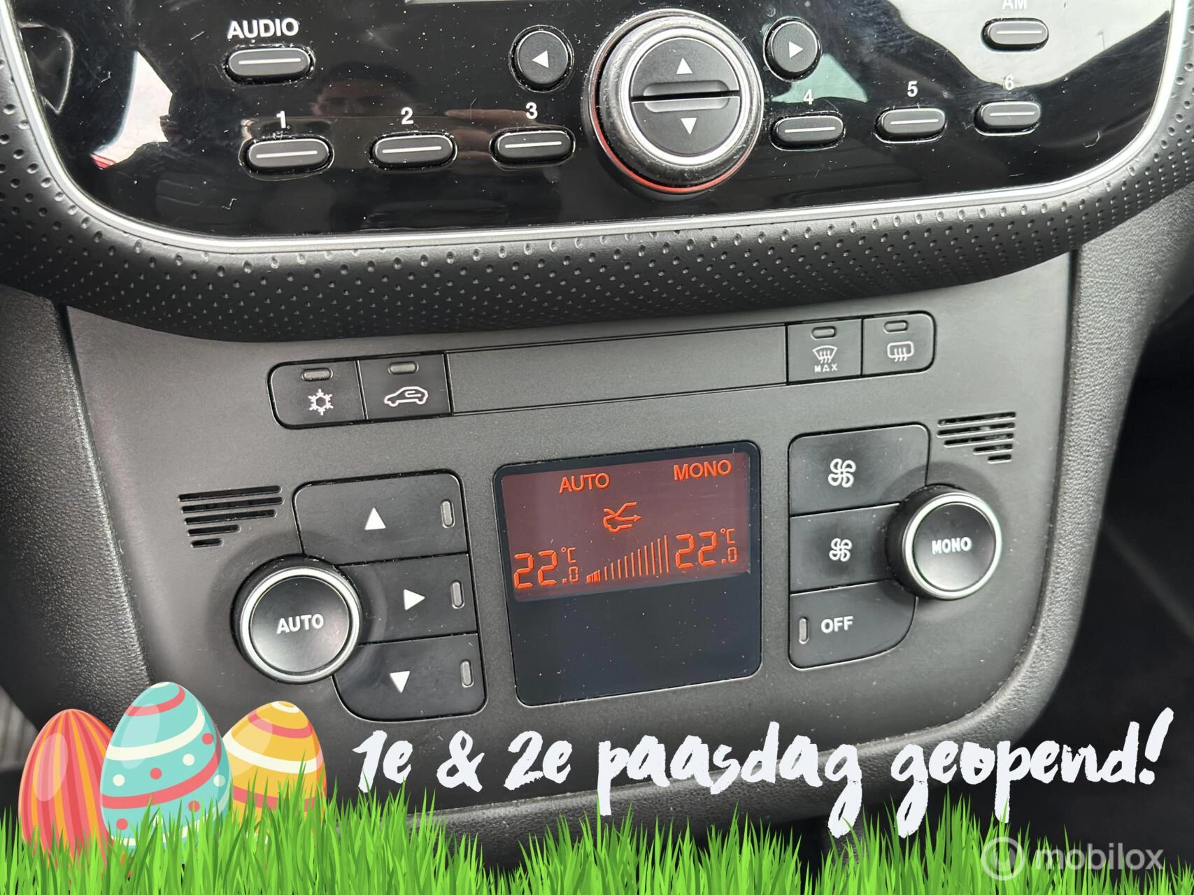 Hoofdafbeelding Fiat Punto