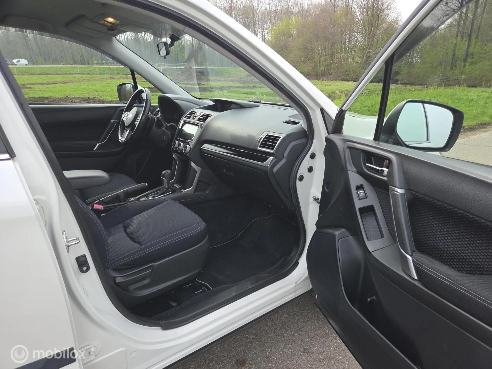 Hoofdafbeelding Subaru Forester