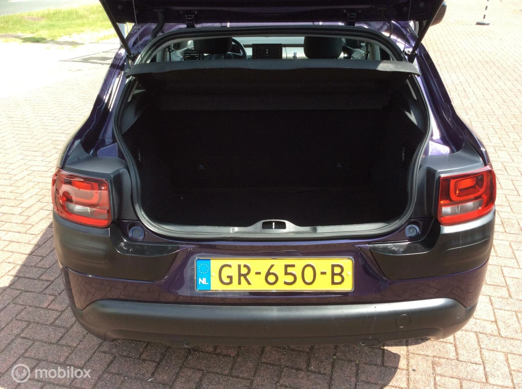Hoofdafbeelding Citroën C4 Cactus