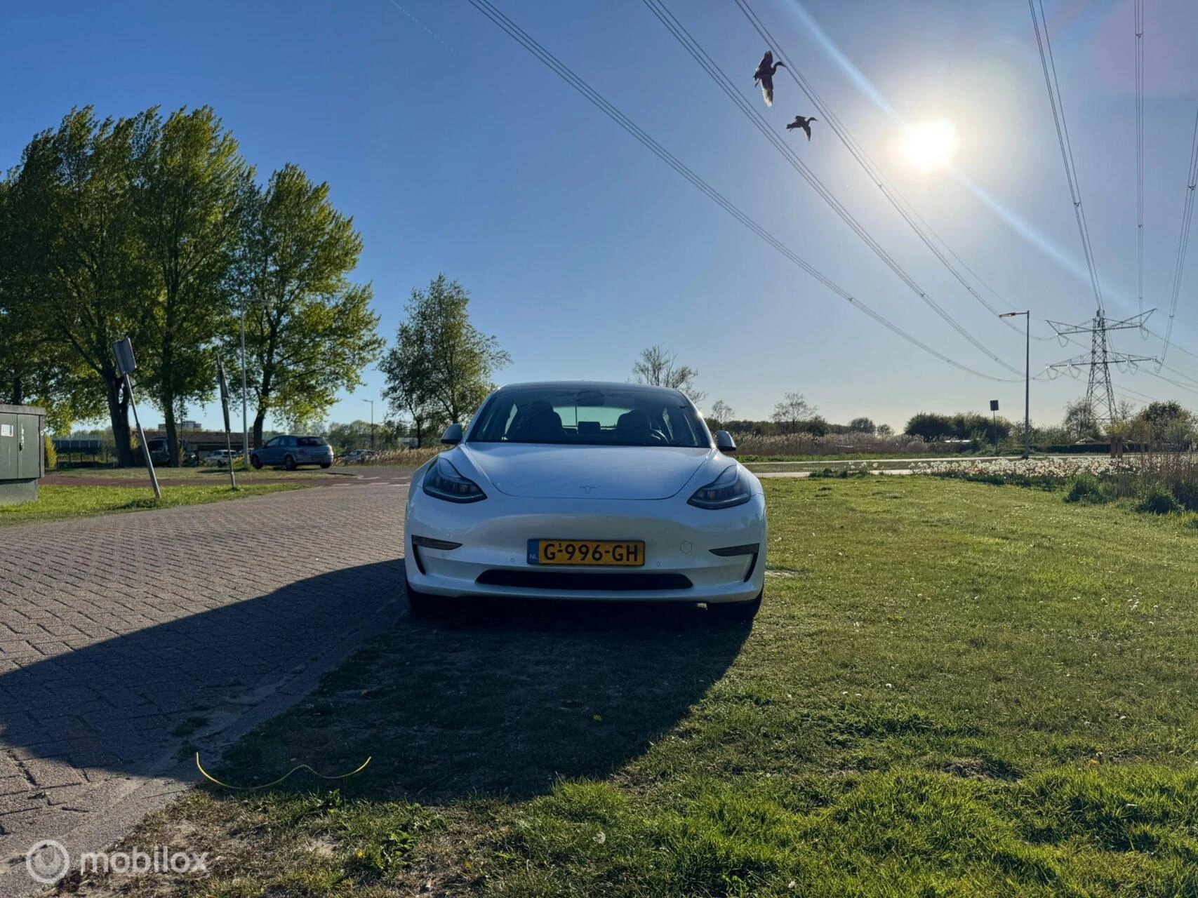 Hoofdafbeelding Tesla Model 3