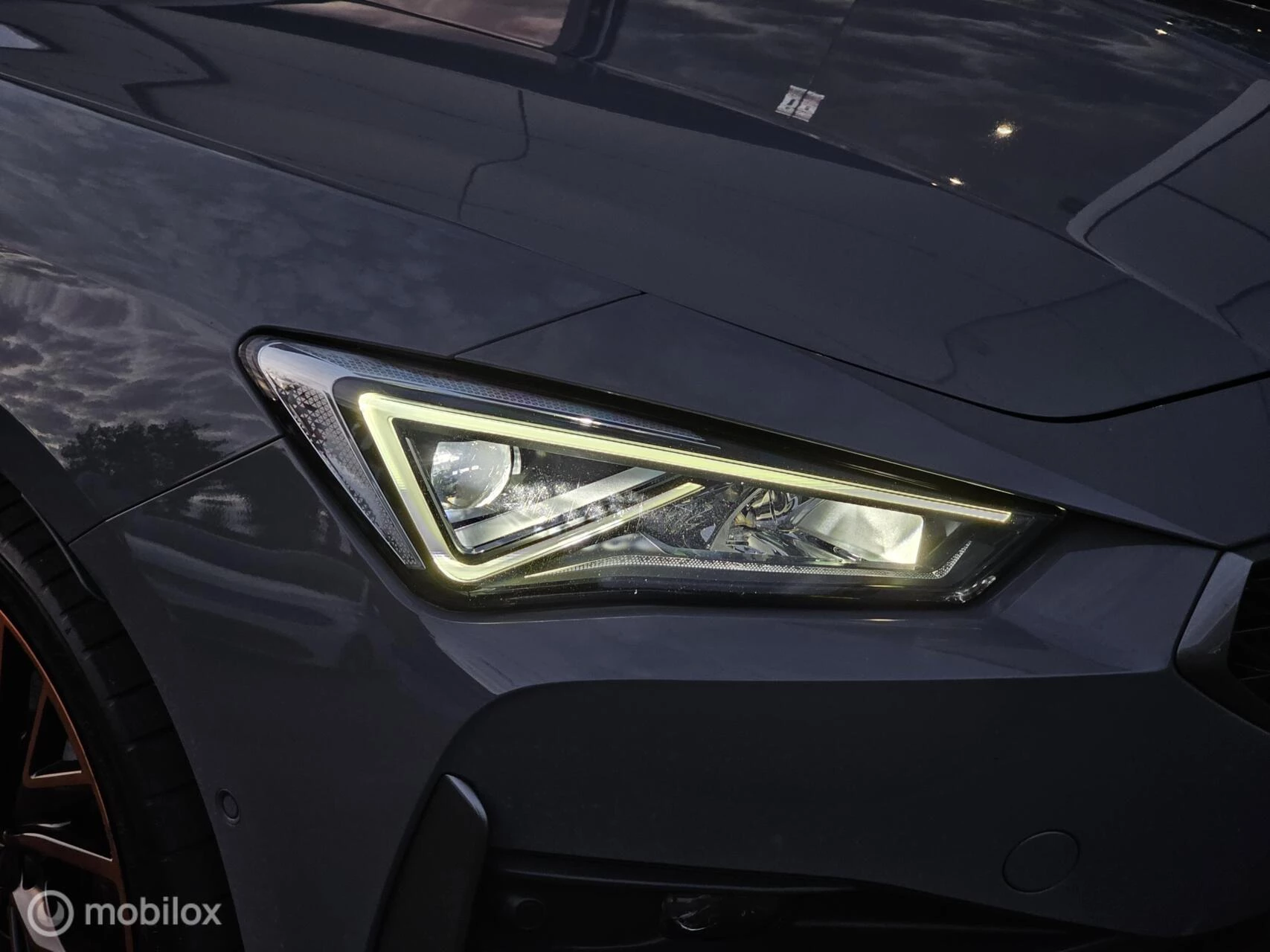 Hoofdafbeelding CUPRA Leon