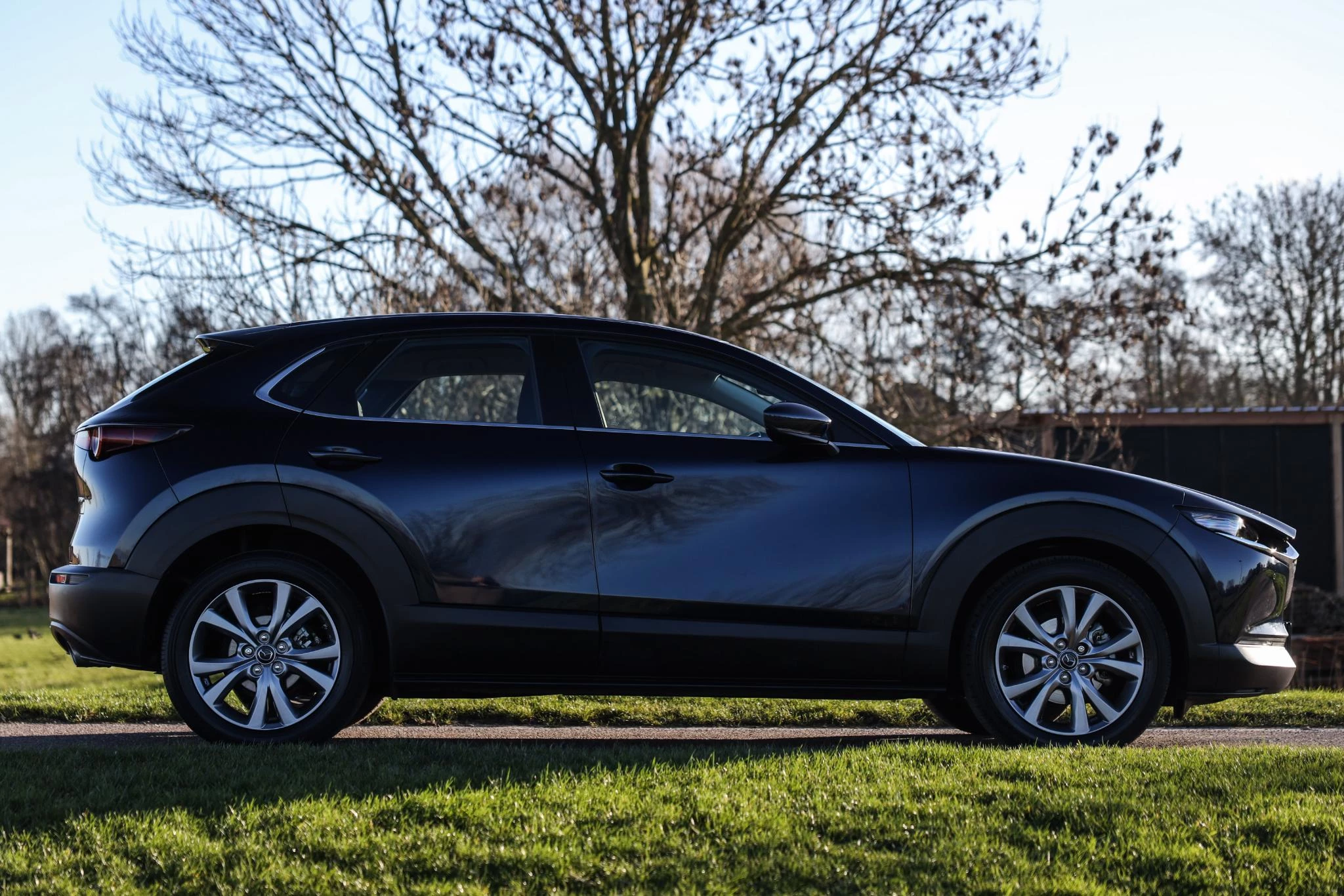 Hoofdafbeelding Mazda CX-30
