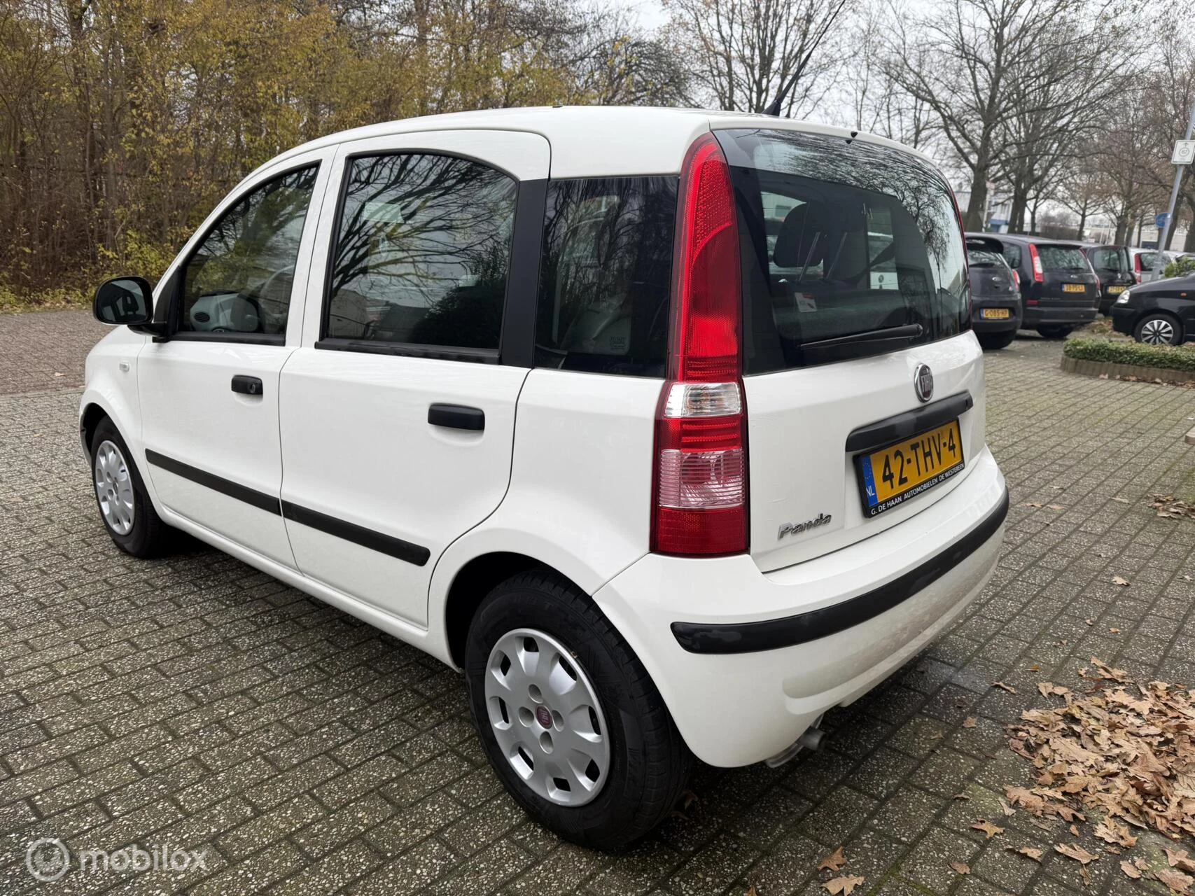 Hoofdafbeelding Fiat Panda