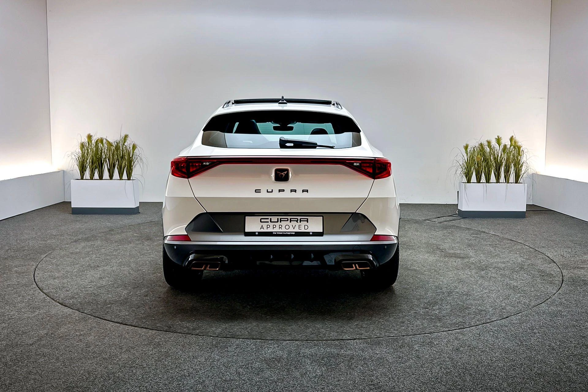 Hoofdafbeelding CUPRA Formentor