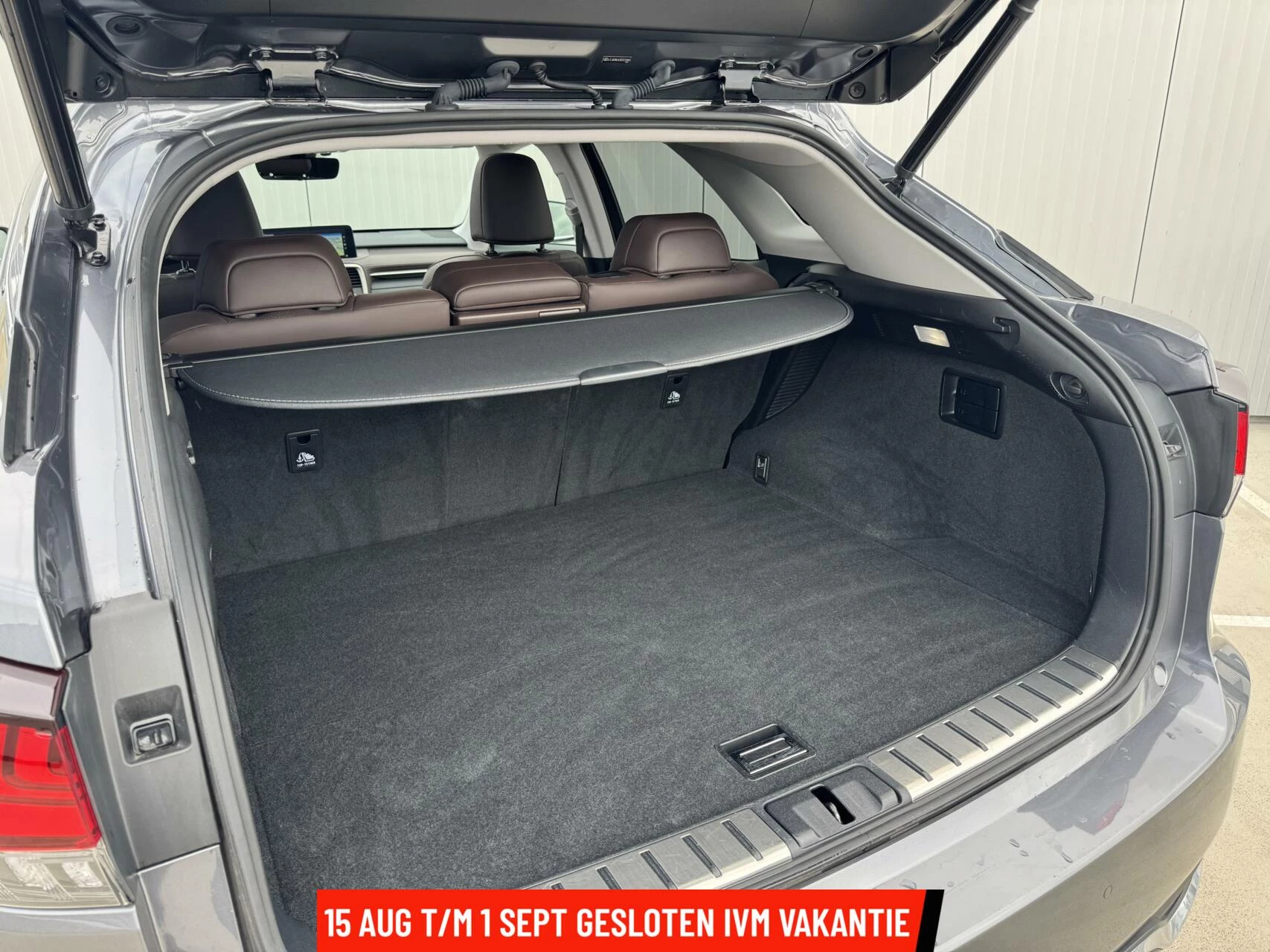 Hoofdafbeelding Lexus RX