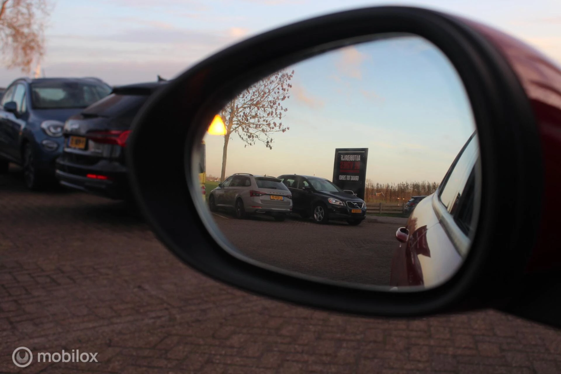 Hoofdafbeelding Alfa Romeo Giulia