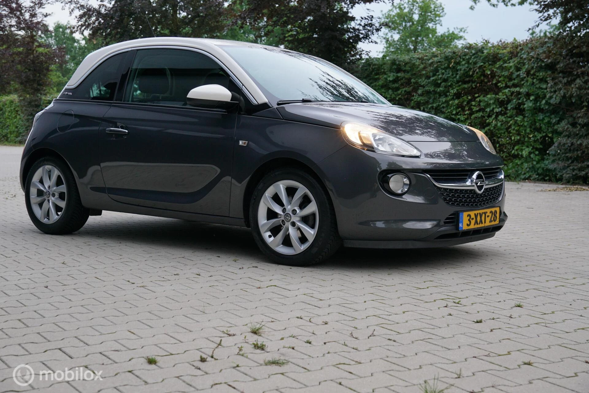Hoofdafbeelding Opel ADAM