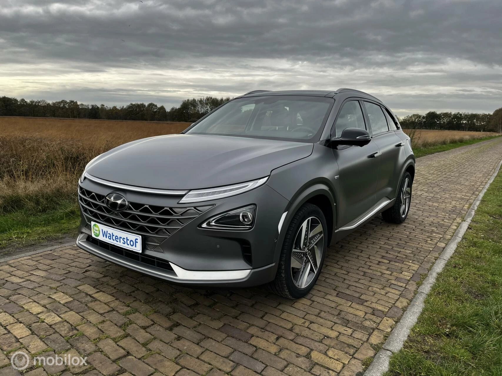 Hoofdafbeelding Hyundai Nexo