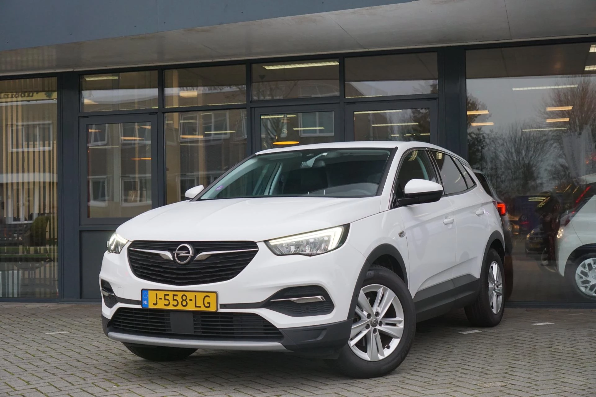 Hoofdafbeelding Opel Grandland X