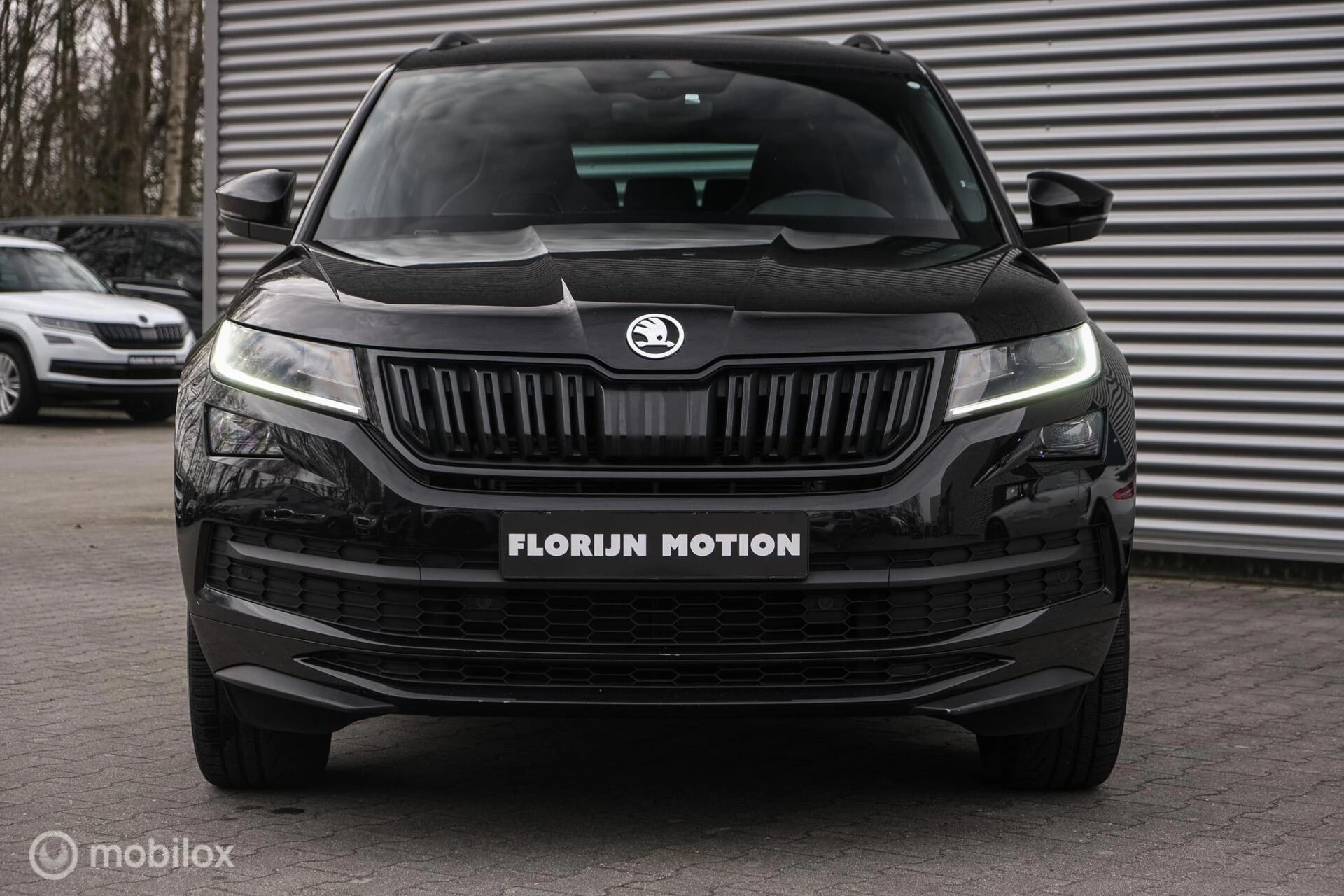 Hoofdafbeelding Škoda Kodiaq