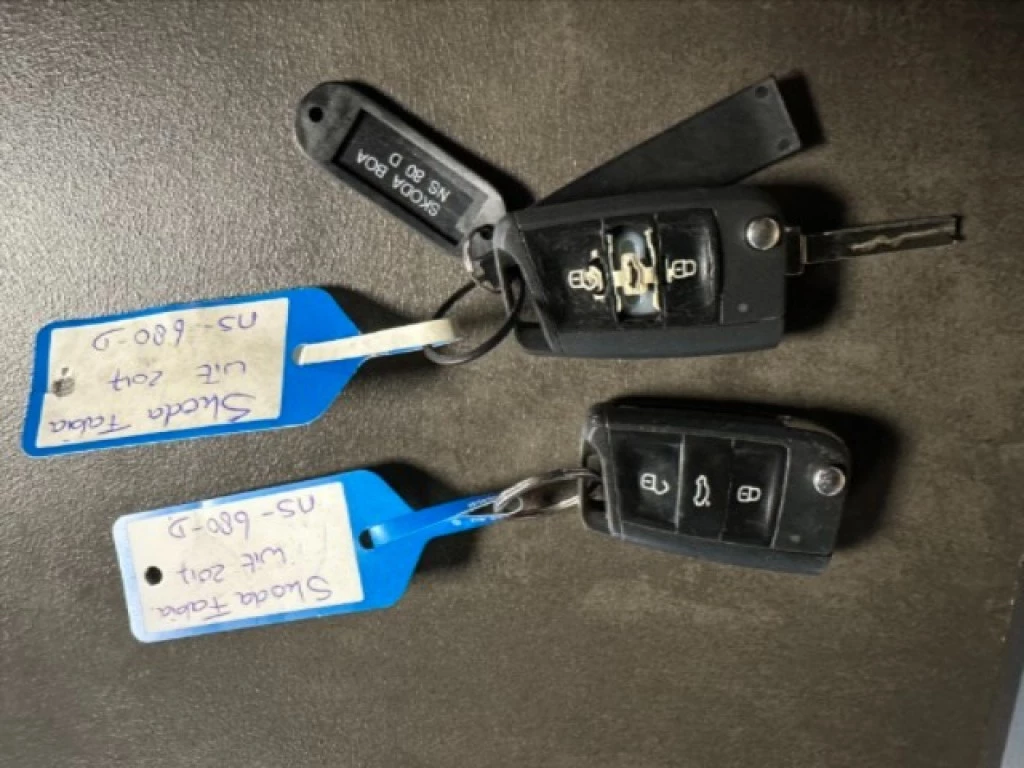 Hoofdafbeelding Škoda Fabia